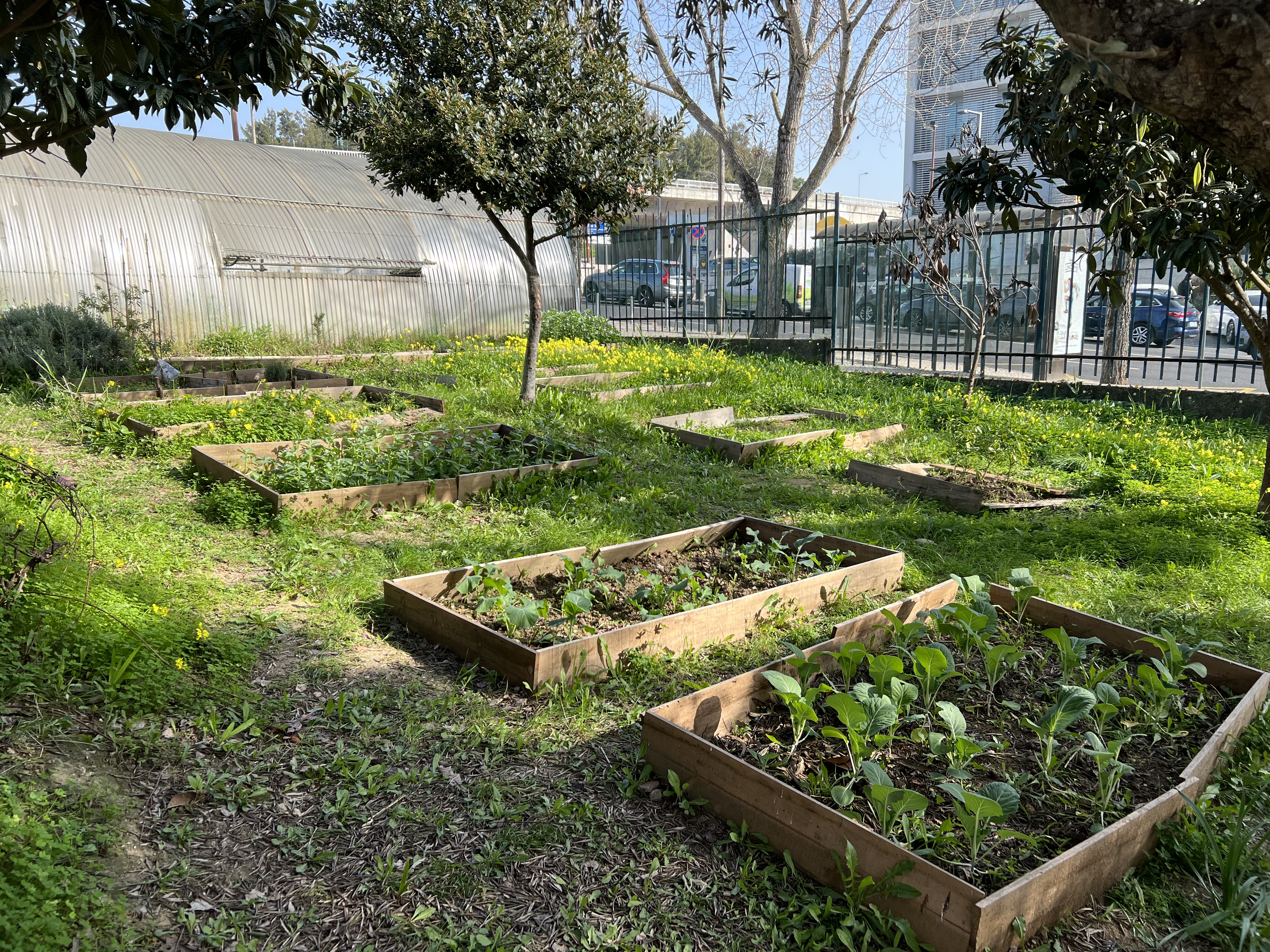 Talhões com plantação de culturas sazonais.