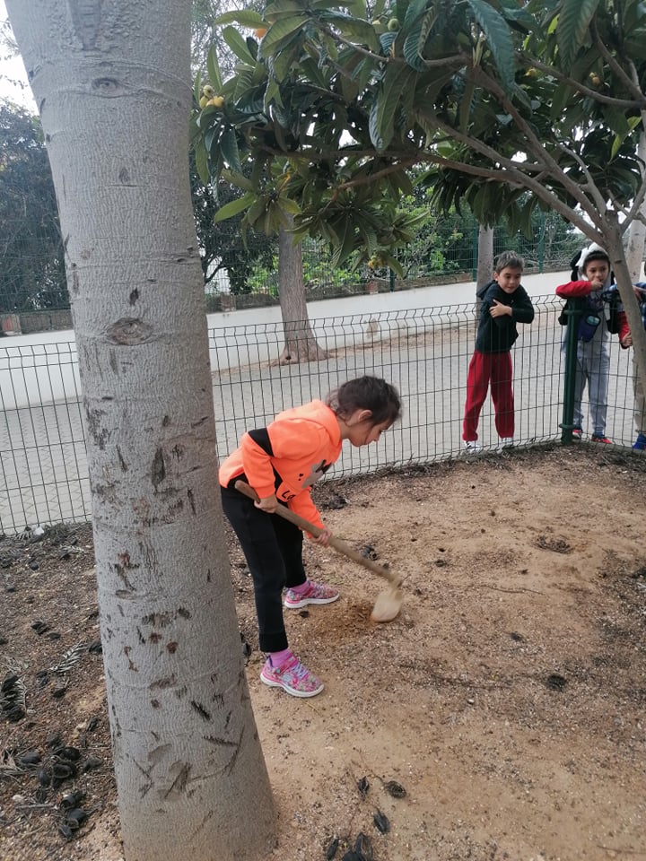 A preparar a terra que recebemos para a nossa Horta na Escola.