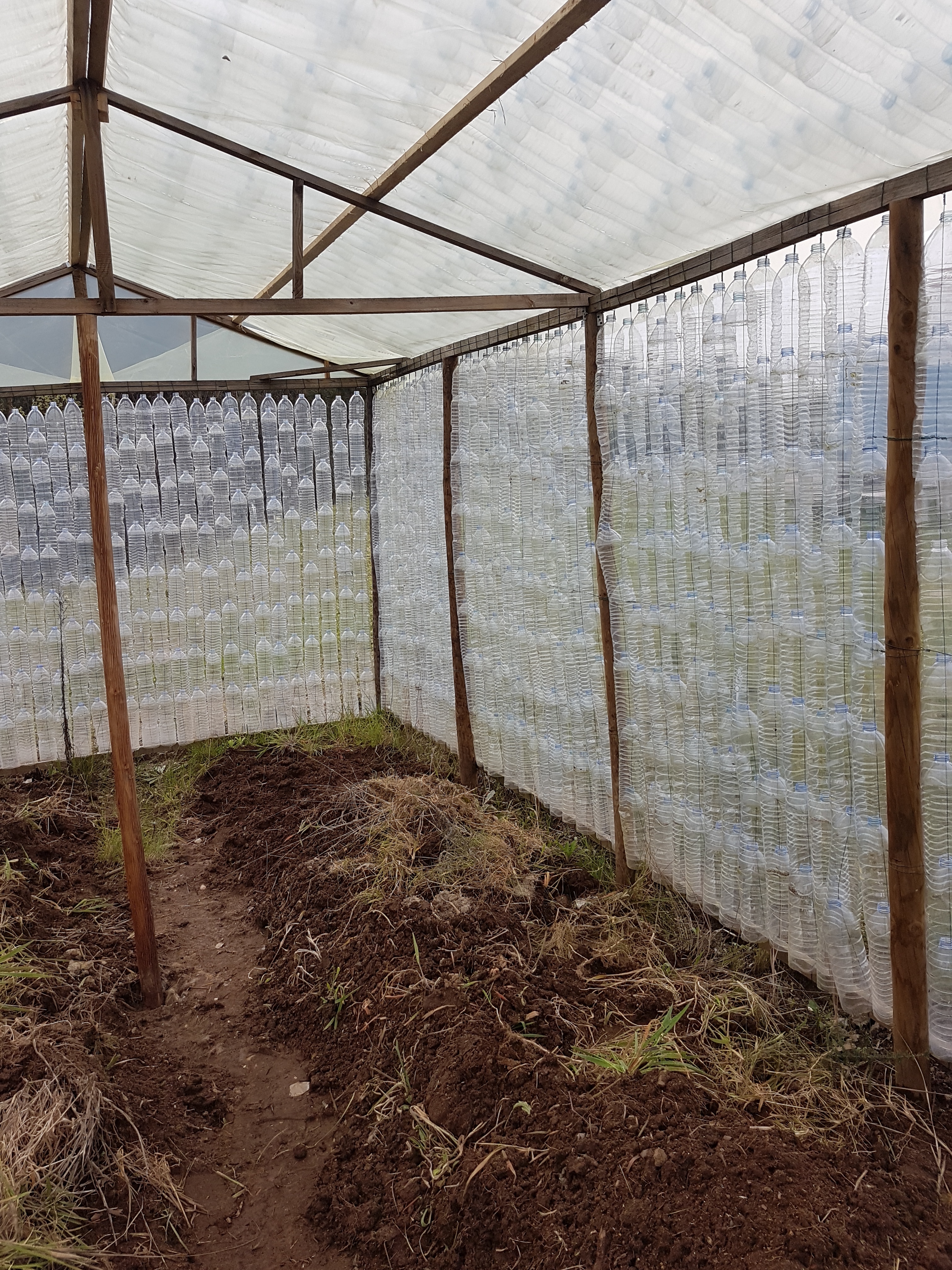 Preparação da área a plantar