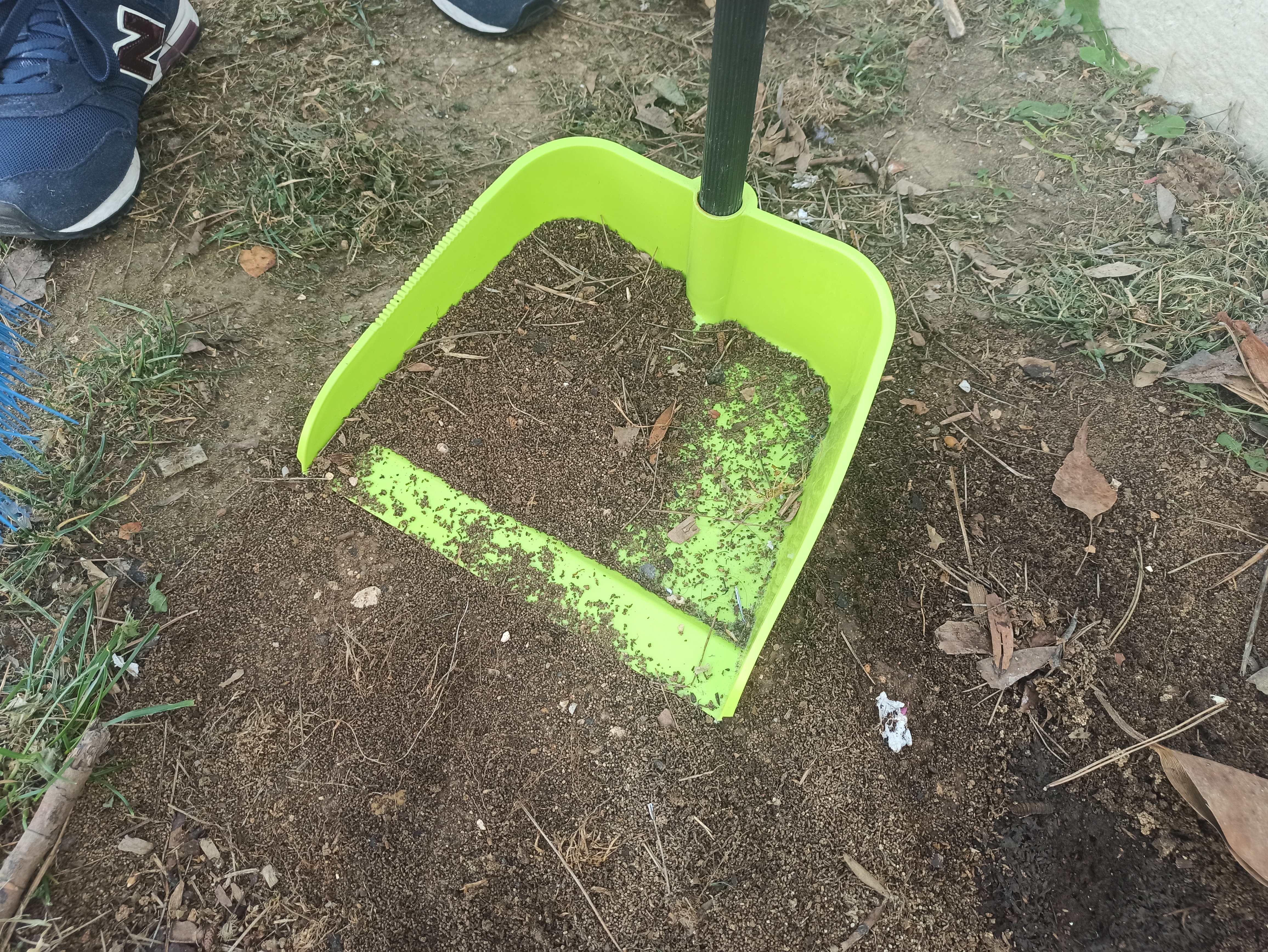 O resultado da compostagem...