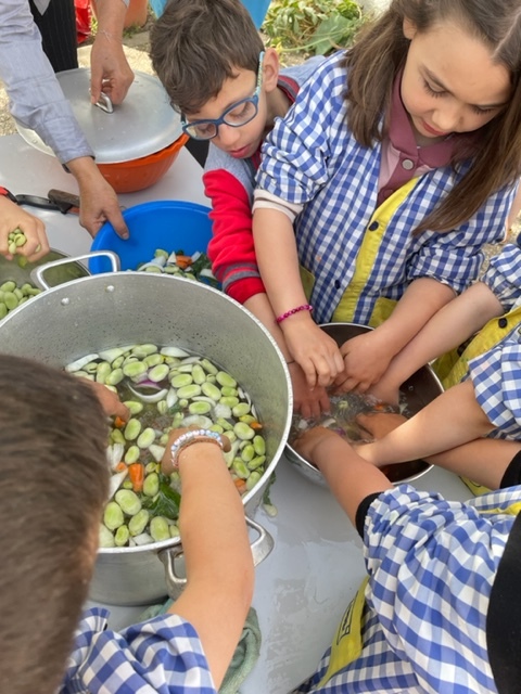 Preparar a sopa