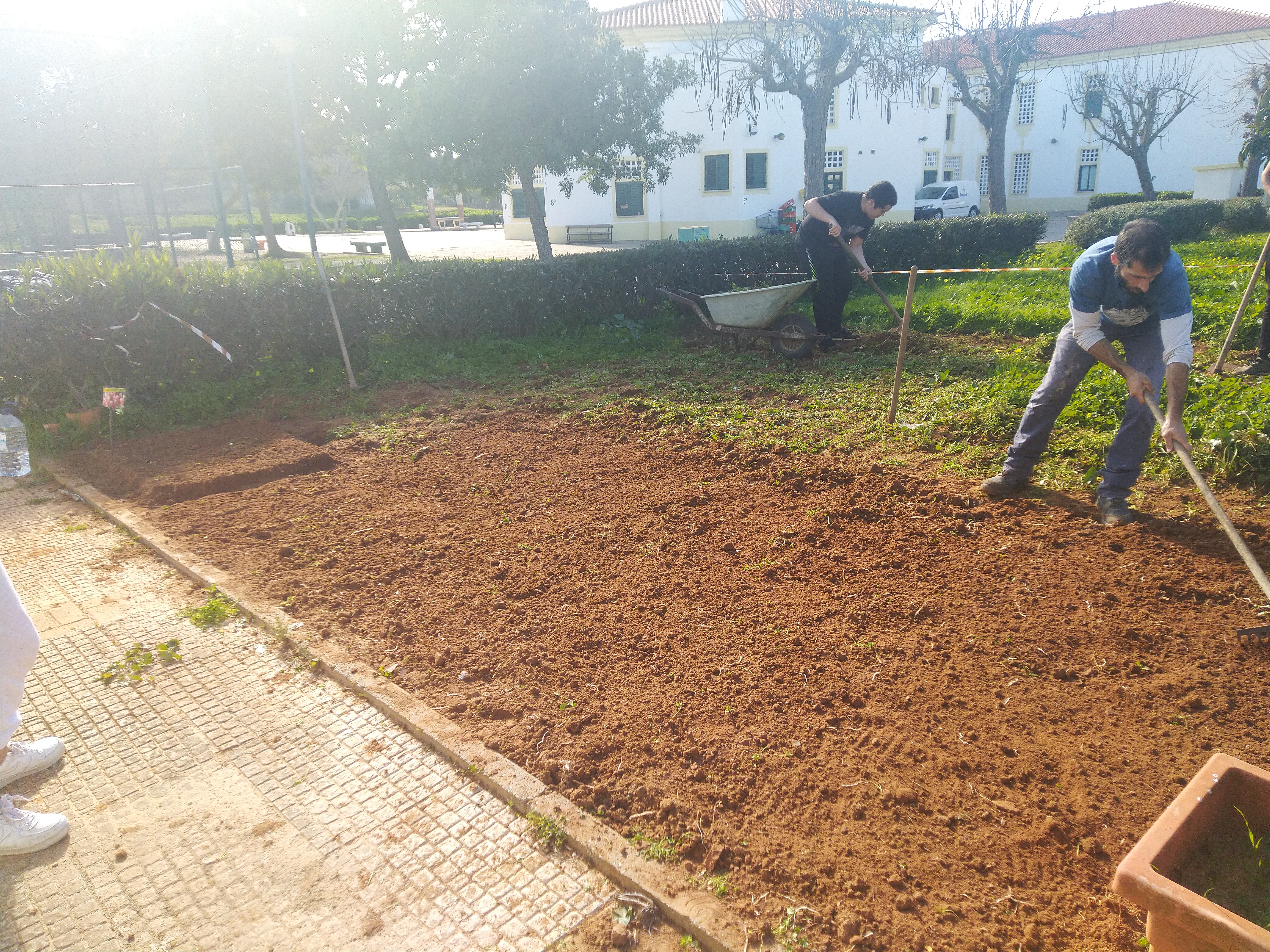 Início da preparação do terreno, com a colaboração de um Encarregado de Educação, que cavou a terra e ensinou a cavar, utilizando enxadas.