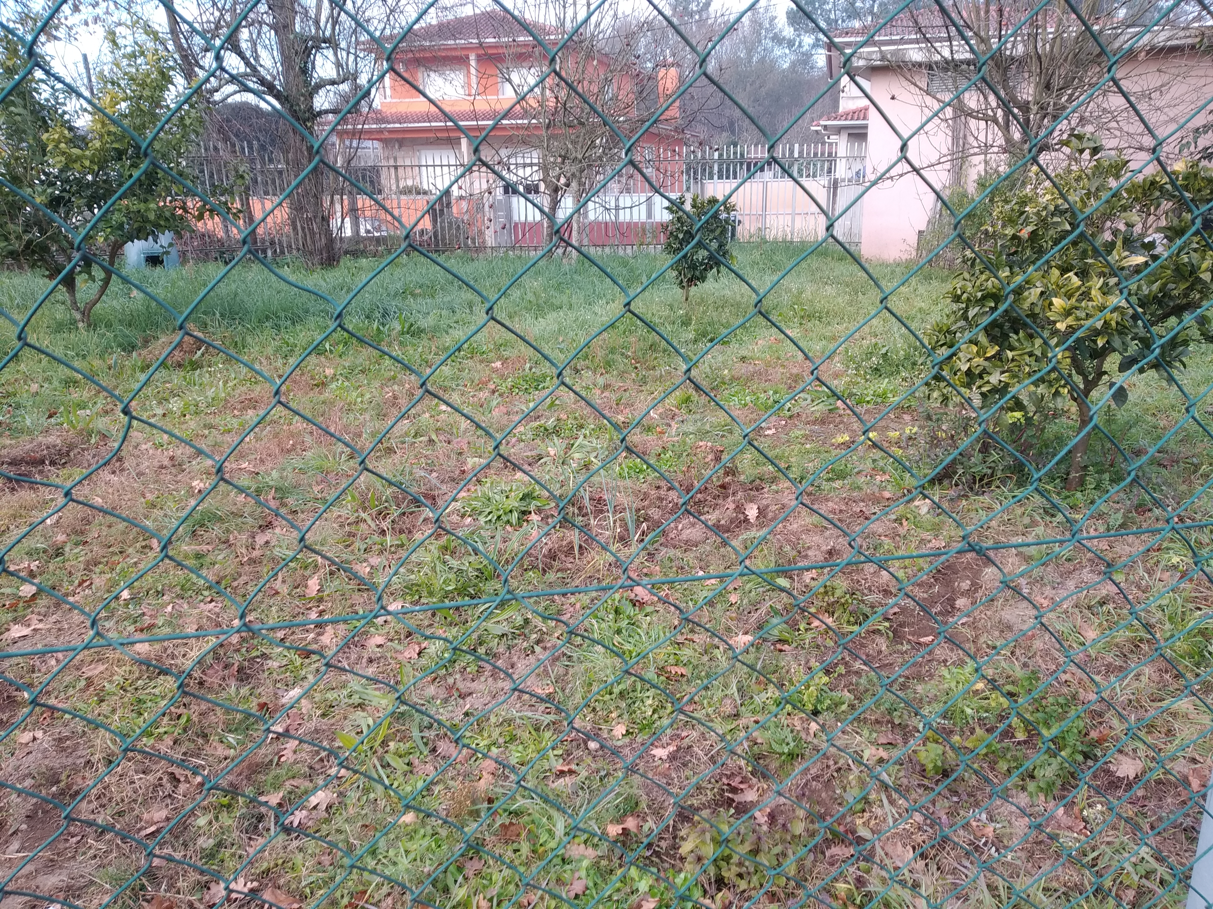 A horta à espera de alfaias agrícolas, depois das férias de verão.