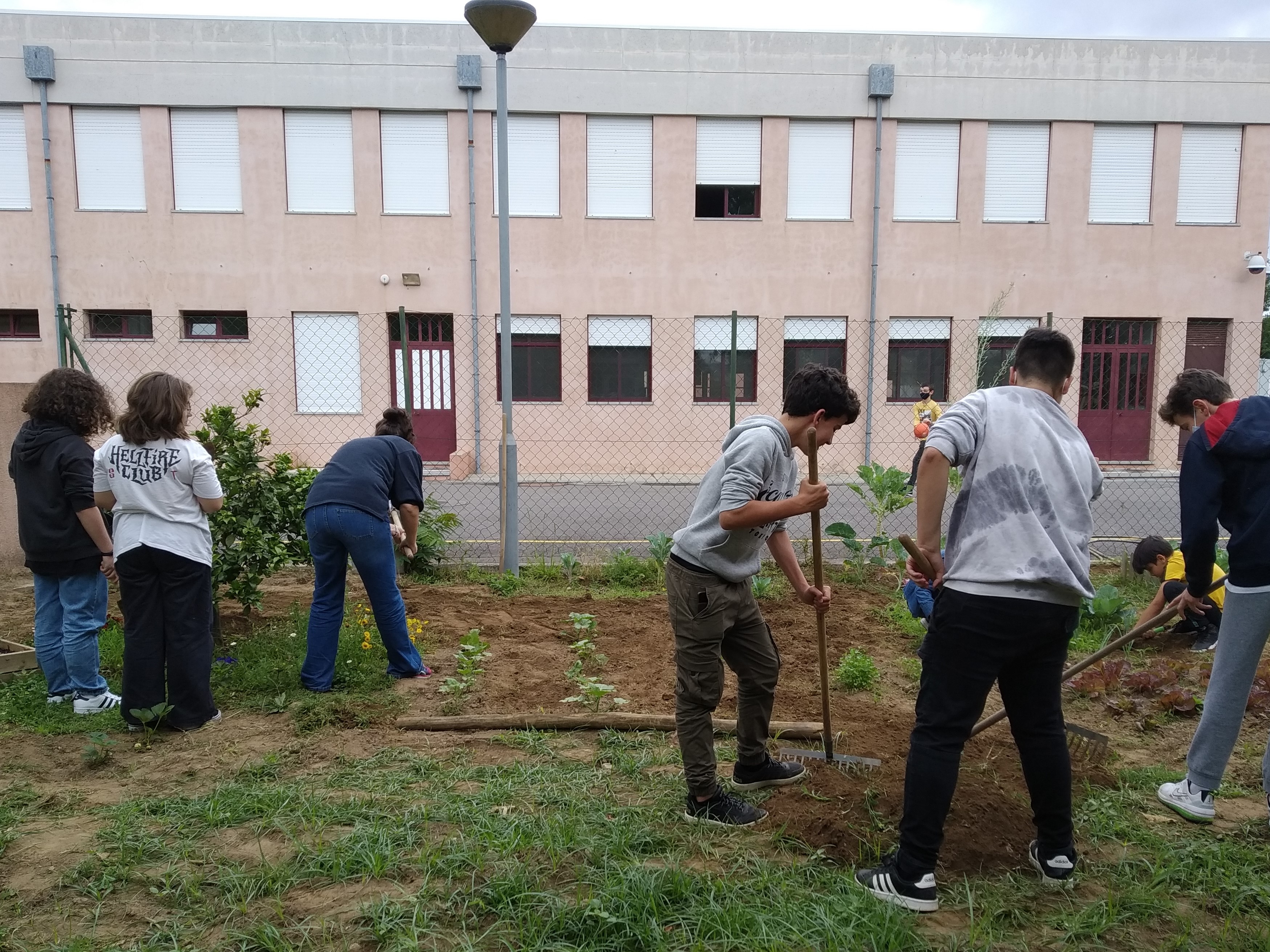 Grupo de alunos a cortar ervas para plantar algumas ervas aromáticas