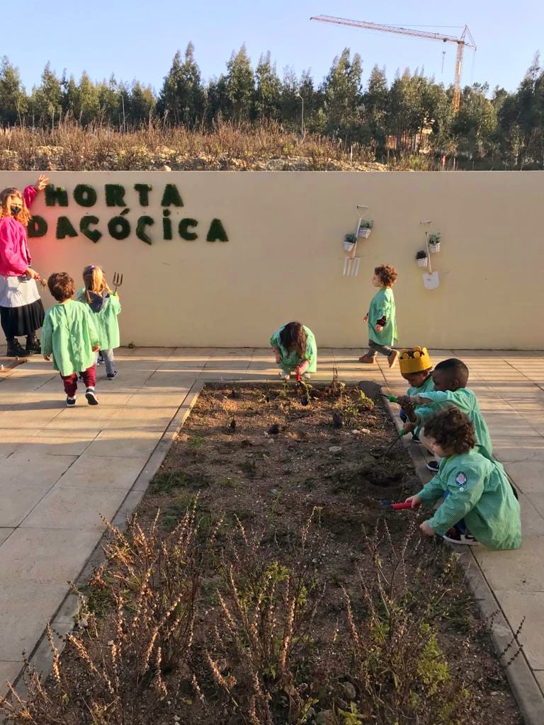 Crianças a observar o que está plantado na horta