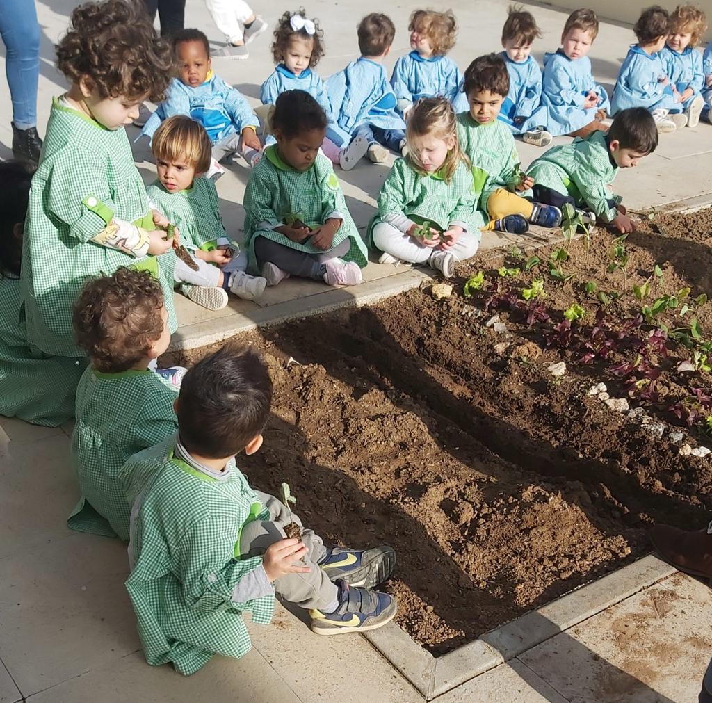 creche a visitar a horta