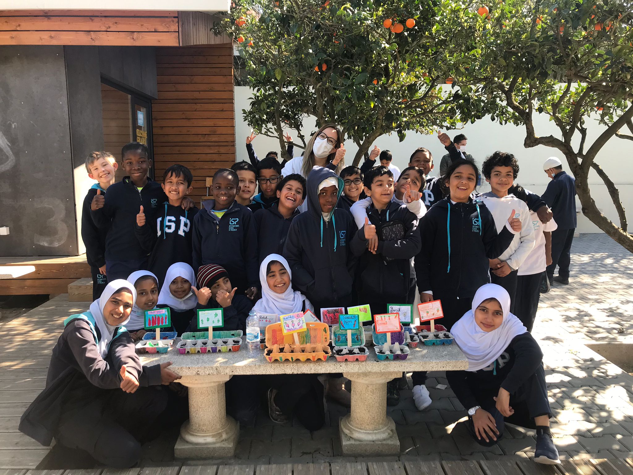 Plantações da turma do 3º ano