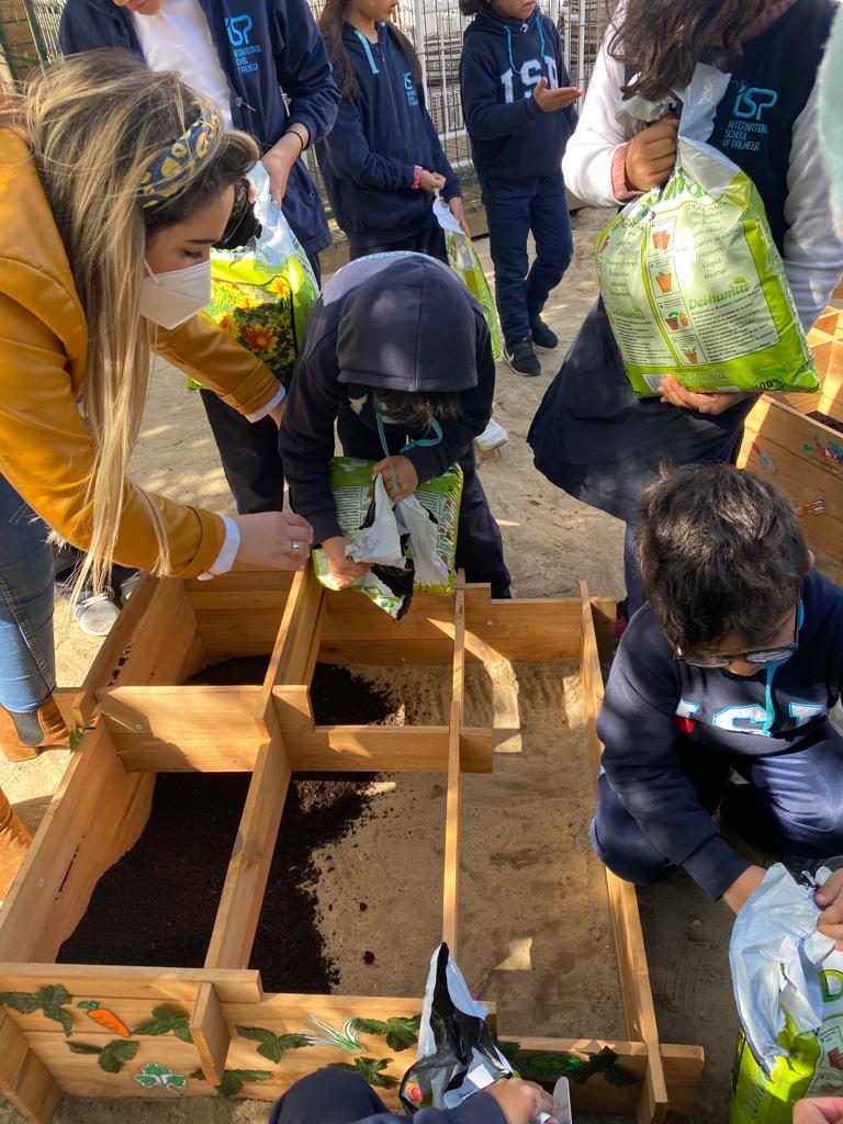 Os alunos montaram as suas hortas e depois encheram de terra.