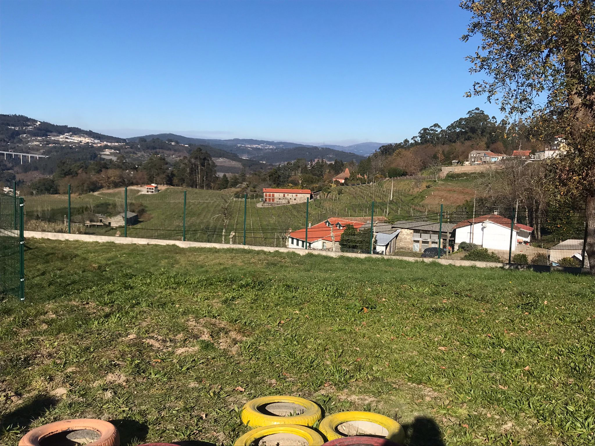 Área prevista para implementação da horta para cultivo de alfaces, cenouras, tomates, espinafres, morangos.