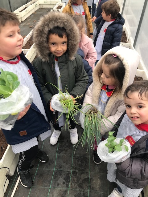 Horta/Estufa da escola