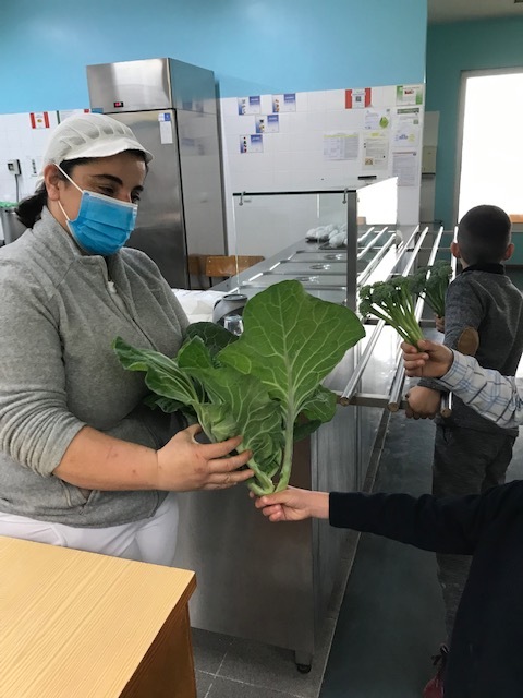 Entrega da colheita à cozinheira da escola