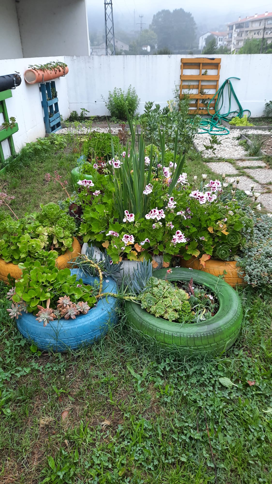 Tudo a florir...