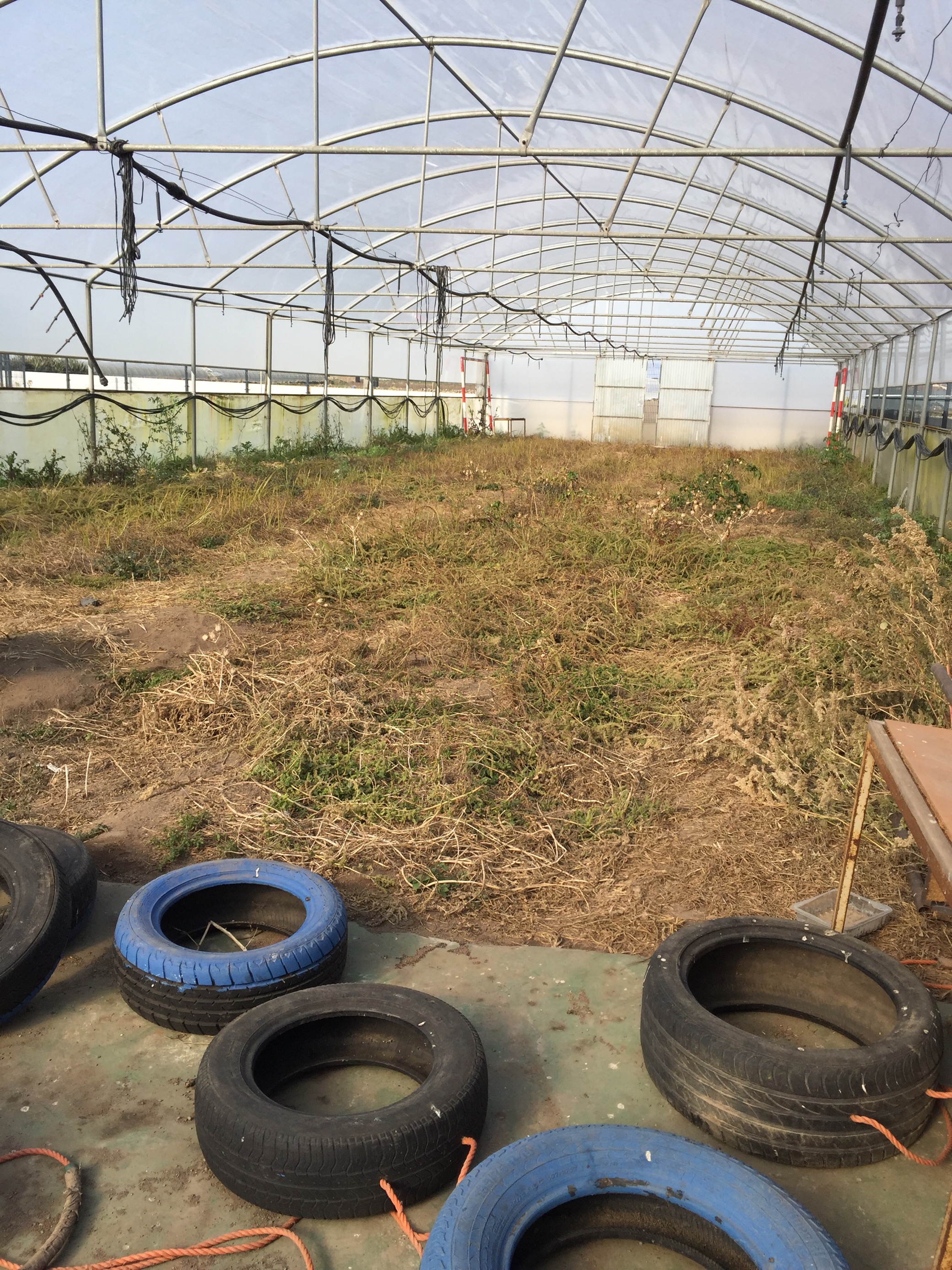 Terreno para a Horta Biológica (para ser lavrado e dar início à implementação)