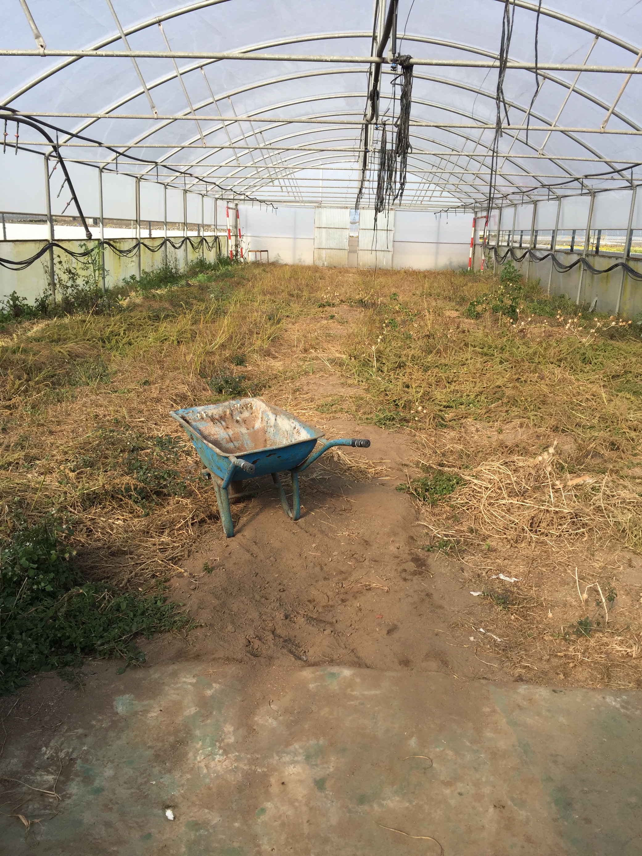 Terreno para a Horta Biológica (para ser lavrado e dar início à implementação)