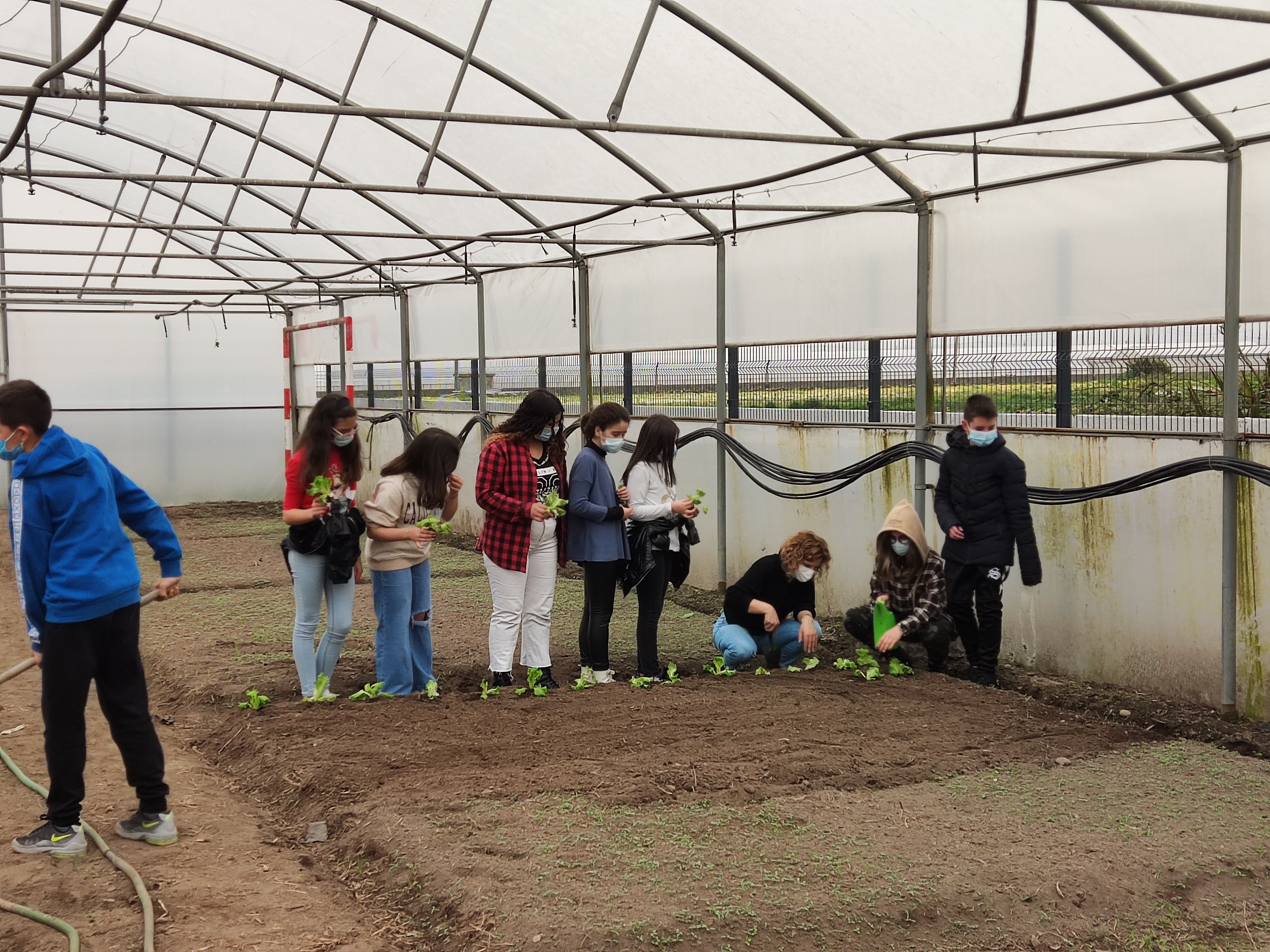 Primeiras plantações!