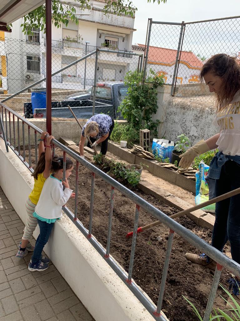 Limpeza do terreno.