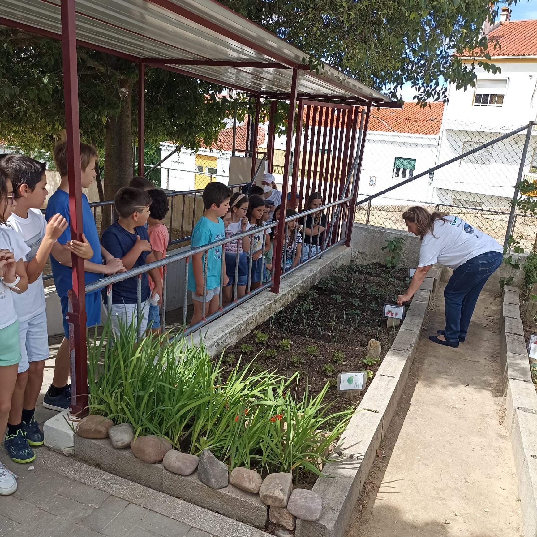Divulgação da horta pedagógica à comunidade escolar.