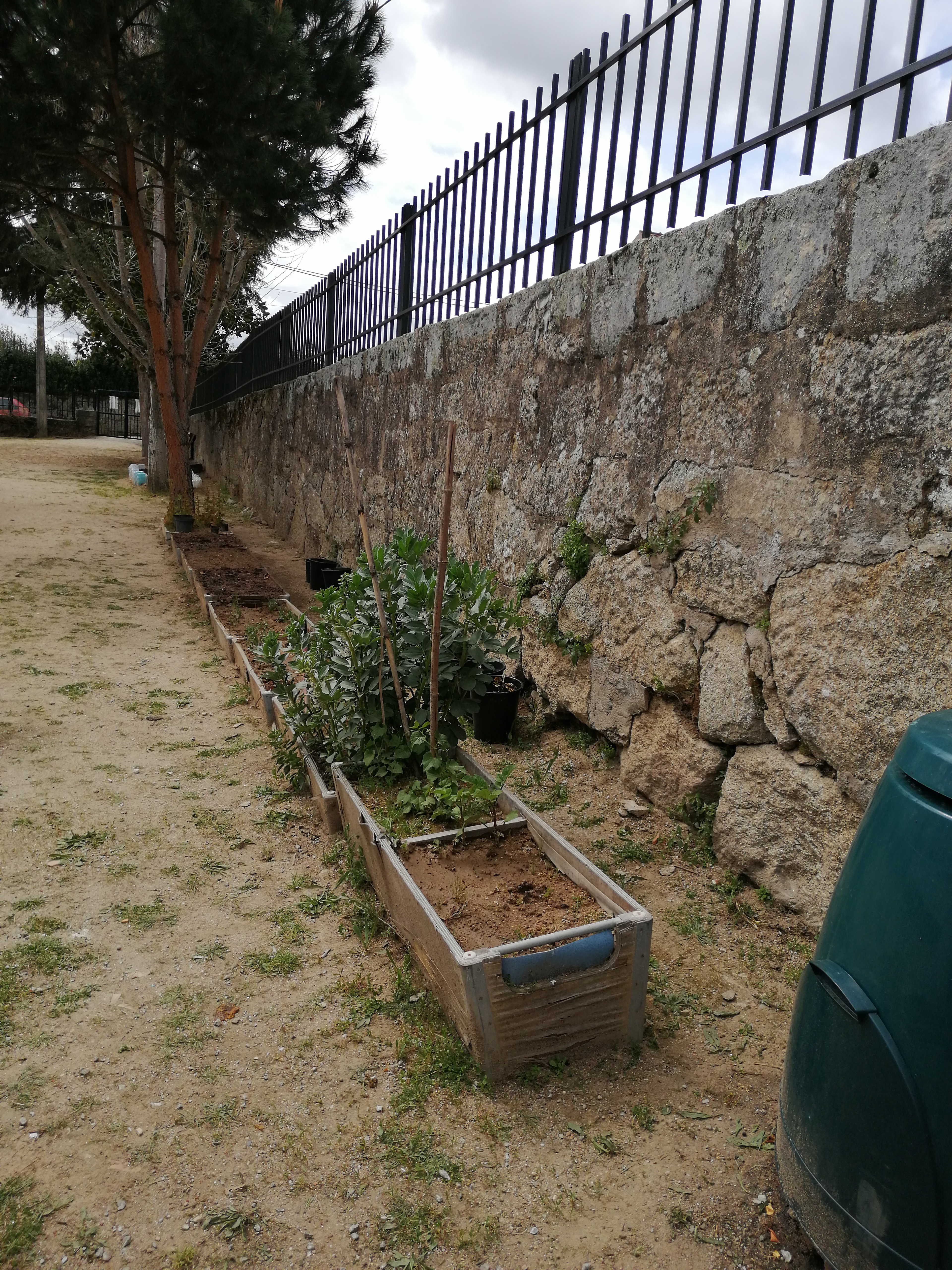 Horta