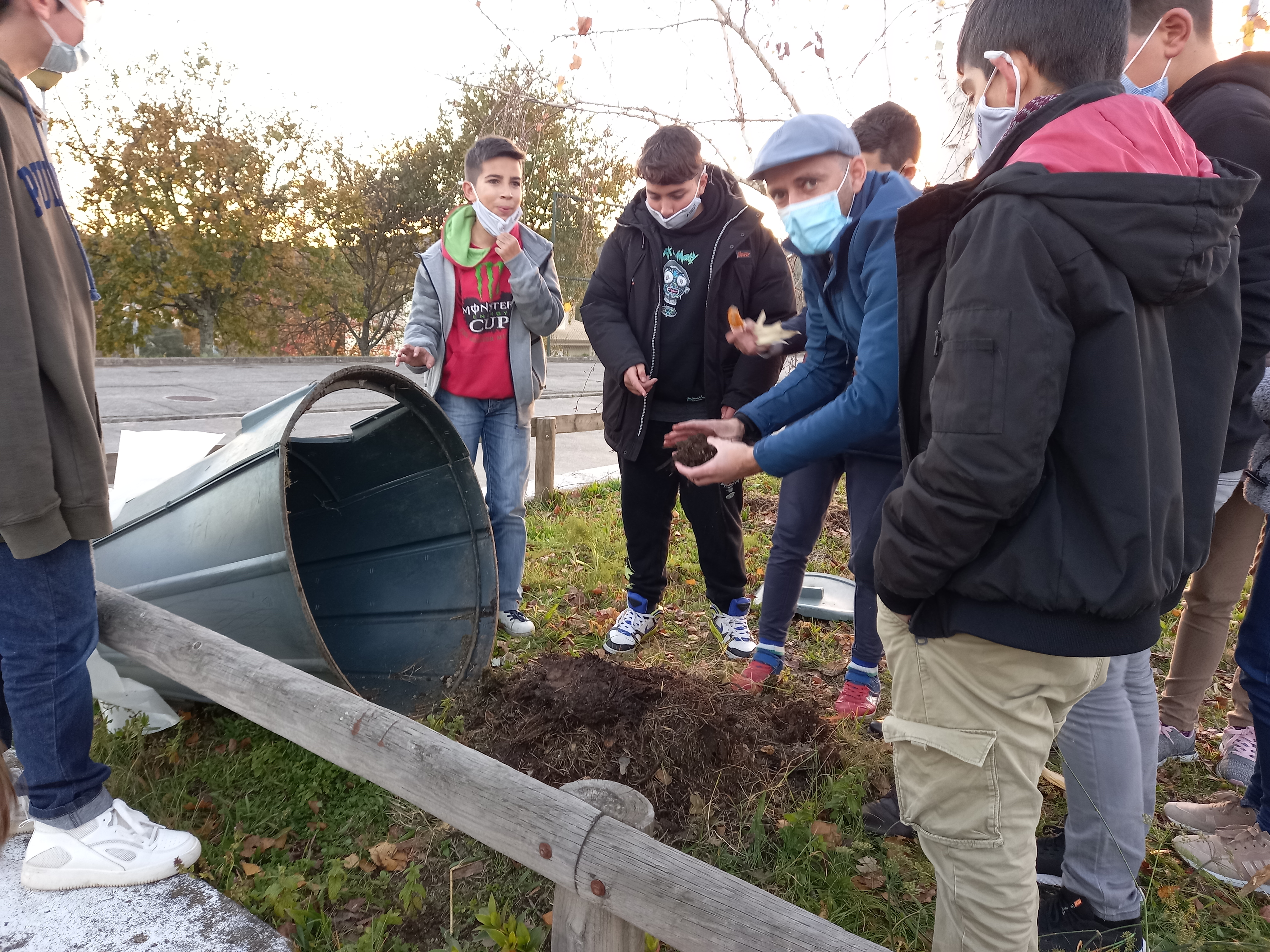 Recolha de estrume do compostor orgânico