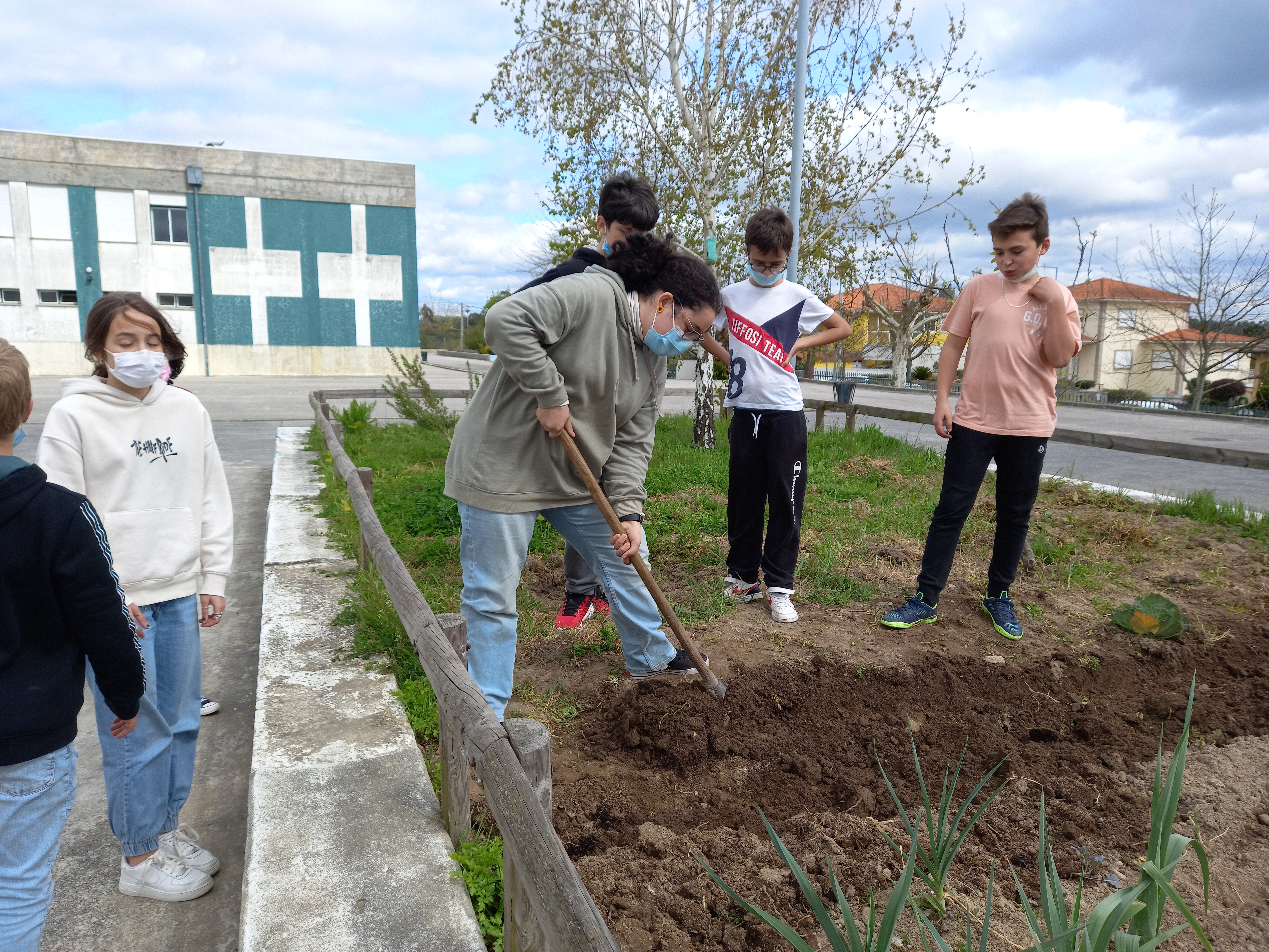 Os alunos estão a fazer sementeiras - plantam couves variadas, alho francês e batata.