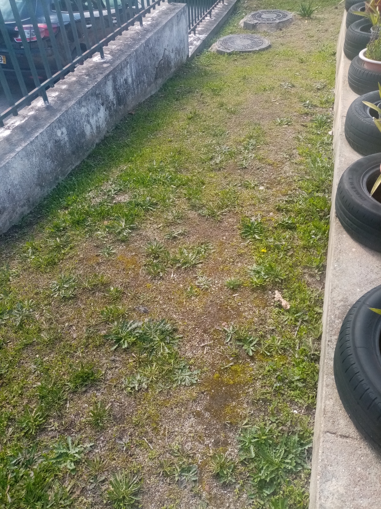 Espaço para a futura horta pedagógica ( piso por nivelar)