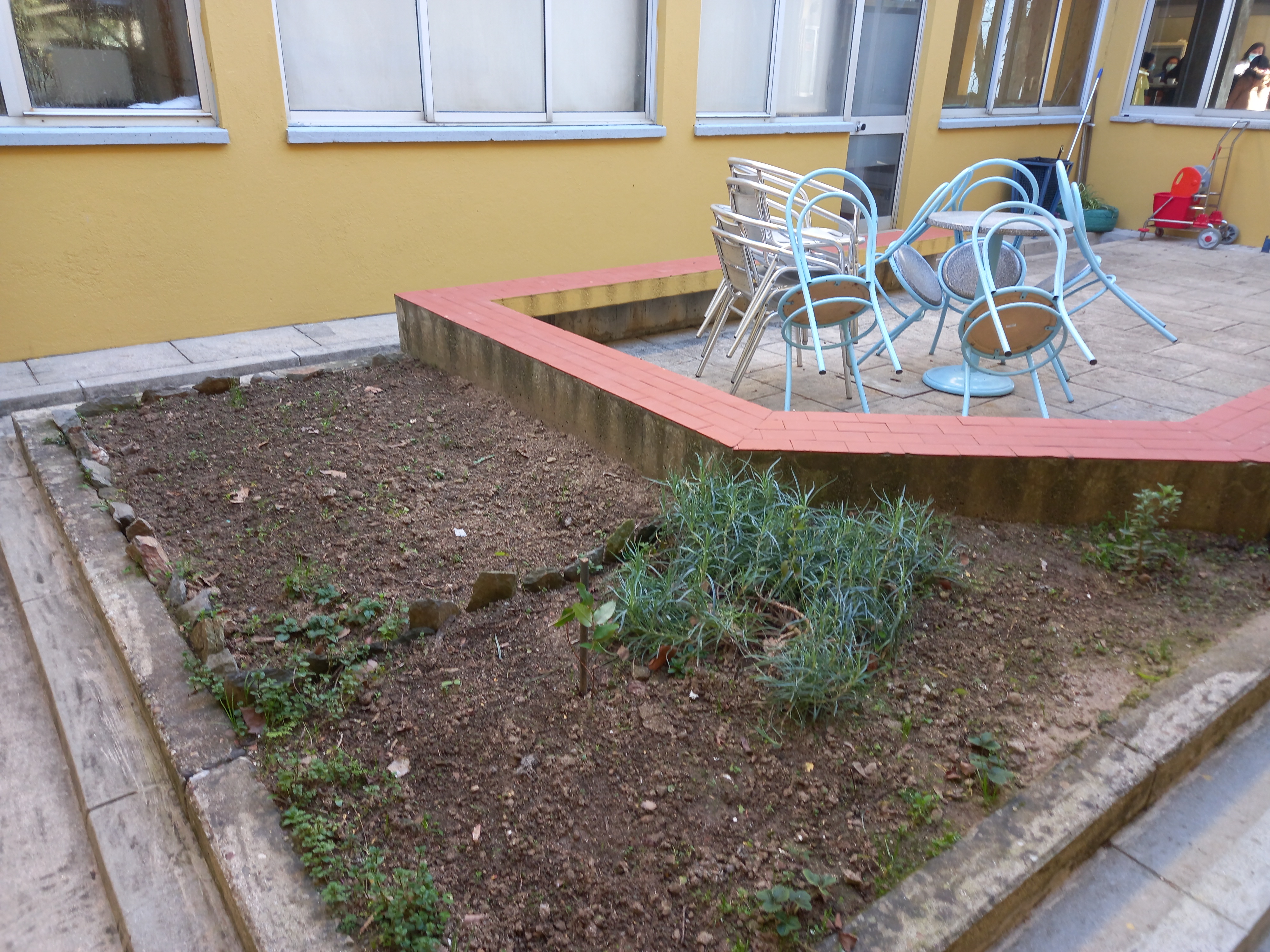 A Horta divide-se pela Escola Sede e o Centro Escolar do Agrupamento. Esta fotografia é da fase inicial da horta da Escola Sede, cujos trabalhos são orientados pelas animadoras Fátima Pereira e Andreia Sousa (Plano de Ação Pessoal, Social e Comunitário).