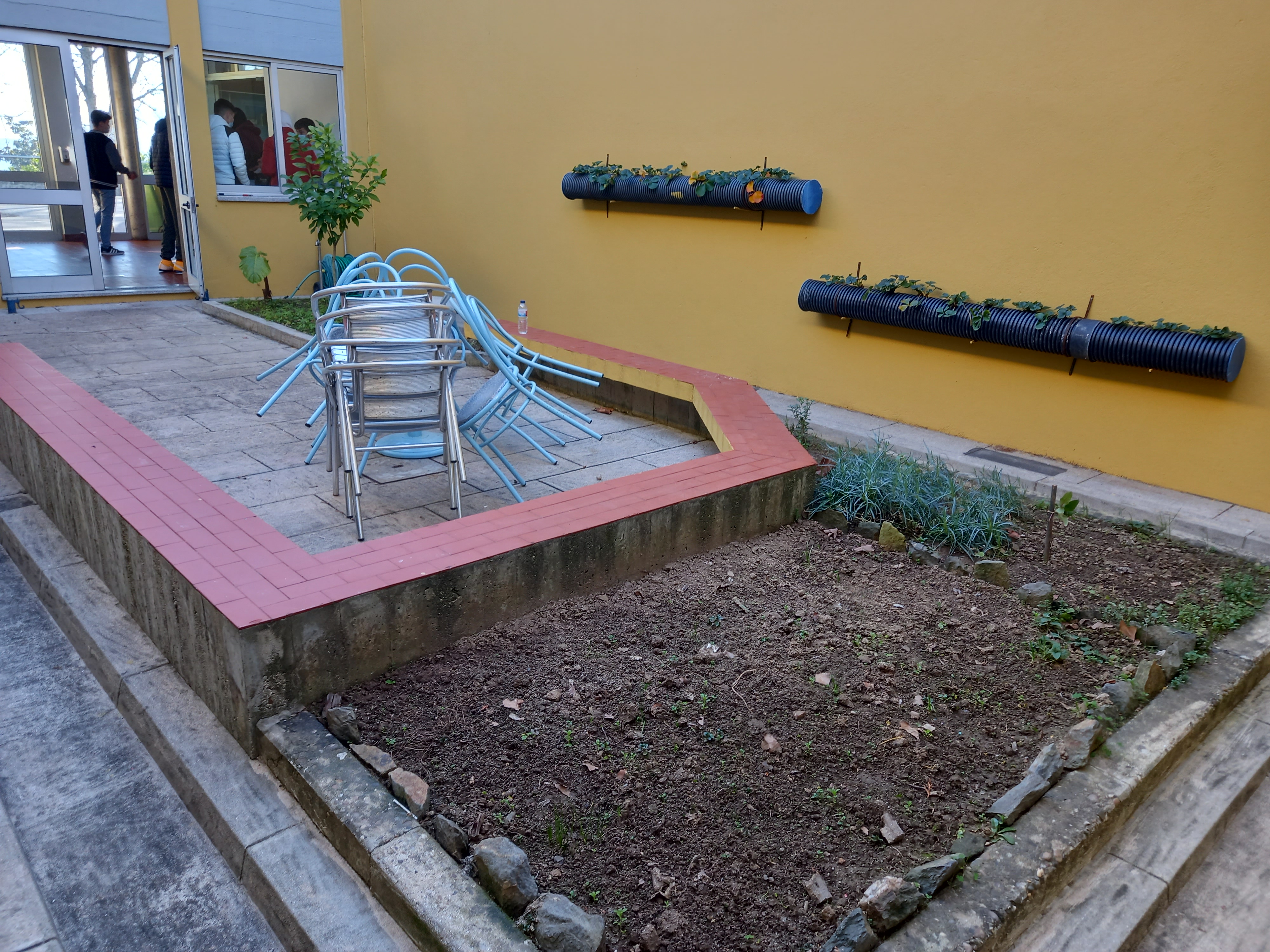 A Horta divide-se pela Escola Sede e o Centro Escolar do Agrupamento. Esta fotografia é da fase inicial da horta da Escola Sede, cujos trabalhos são orientados pelas animadoras Fátima Pereira e Andreia Sousa (Plano de Ação Pessoal, Social e Comunitário).
