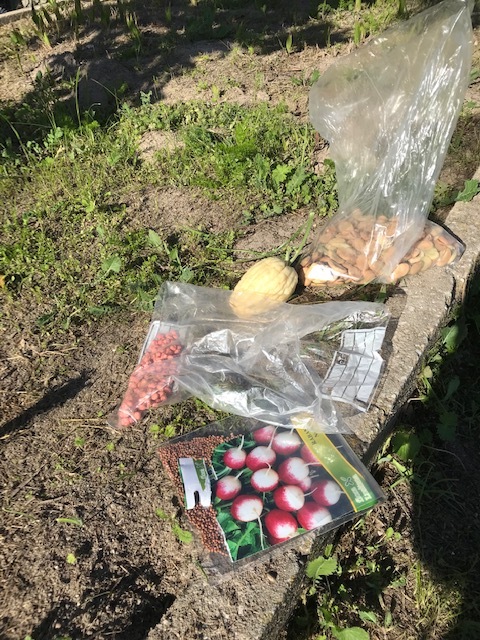 Produtos para plantar/semear na horta.