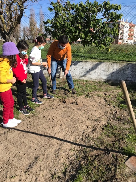 Preparação da terra para o cultivo.