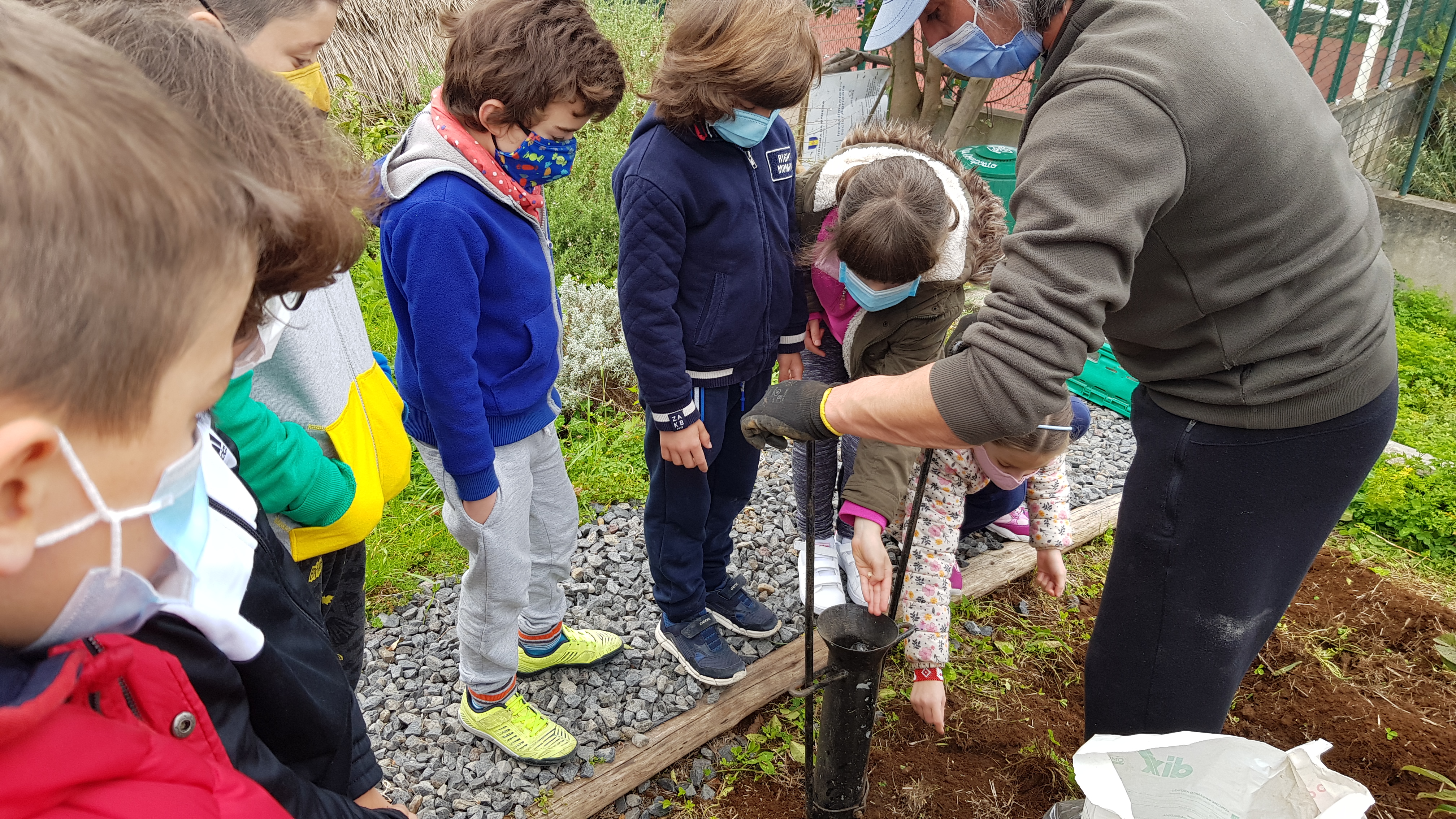 Plantação com o envolvimento dos encarregados de educação.