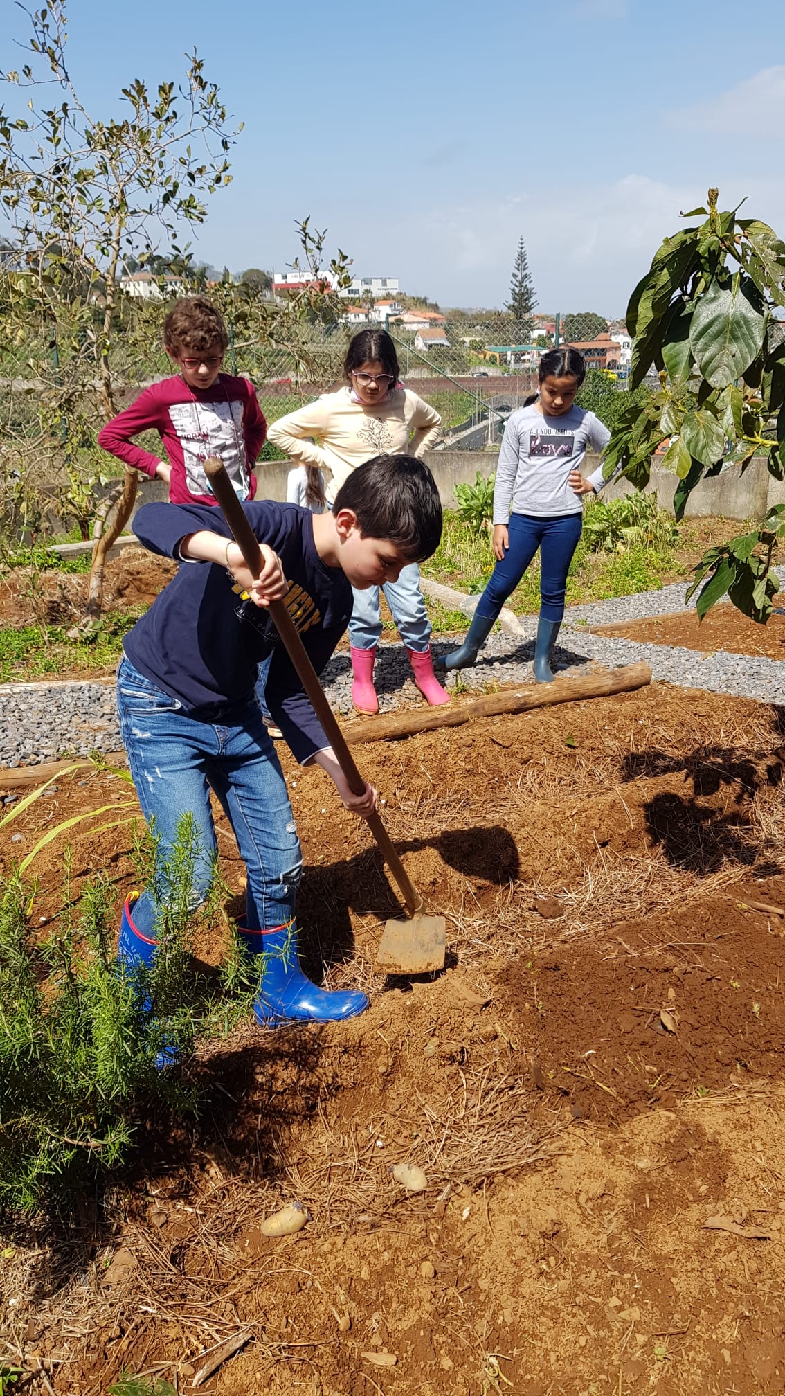 Plantação e manutenção do espaço