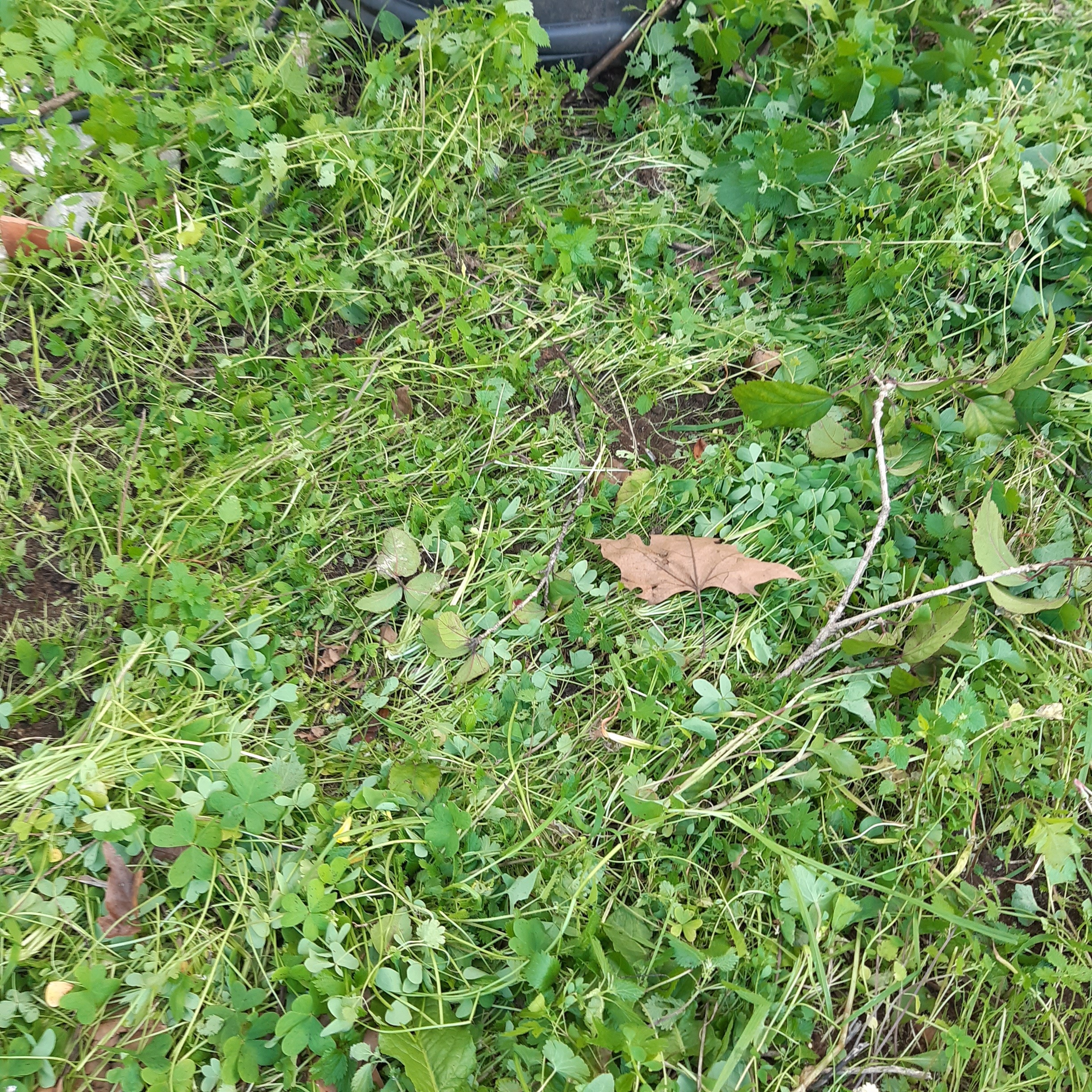 Solo antes dos trabalhos