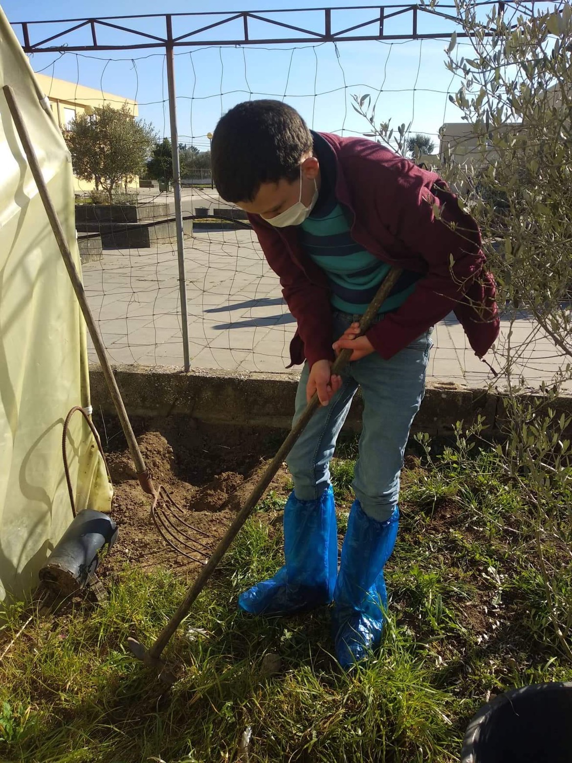 Preparação do terreno para plantação