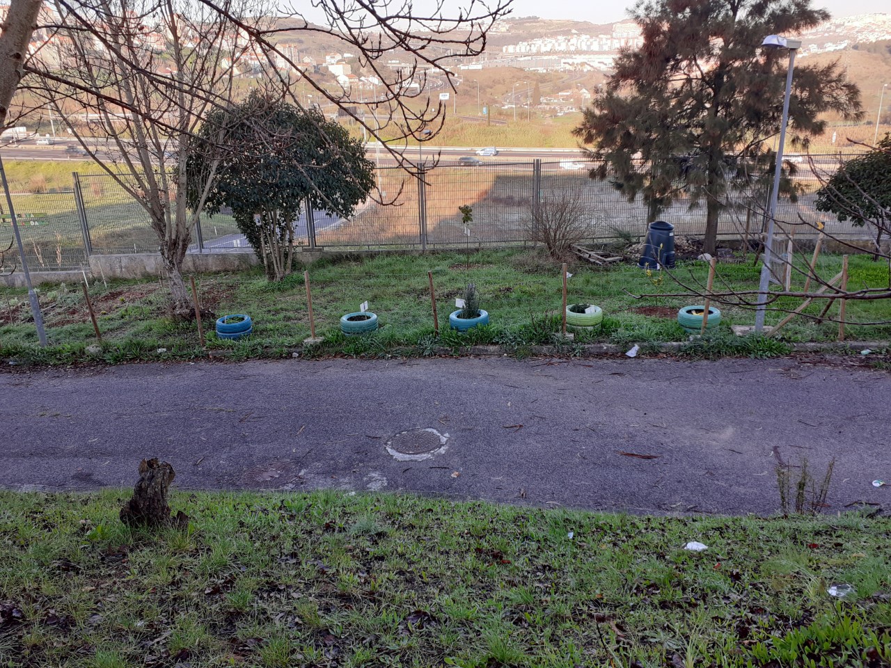 Vista geral do estado da Horta
