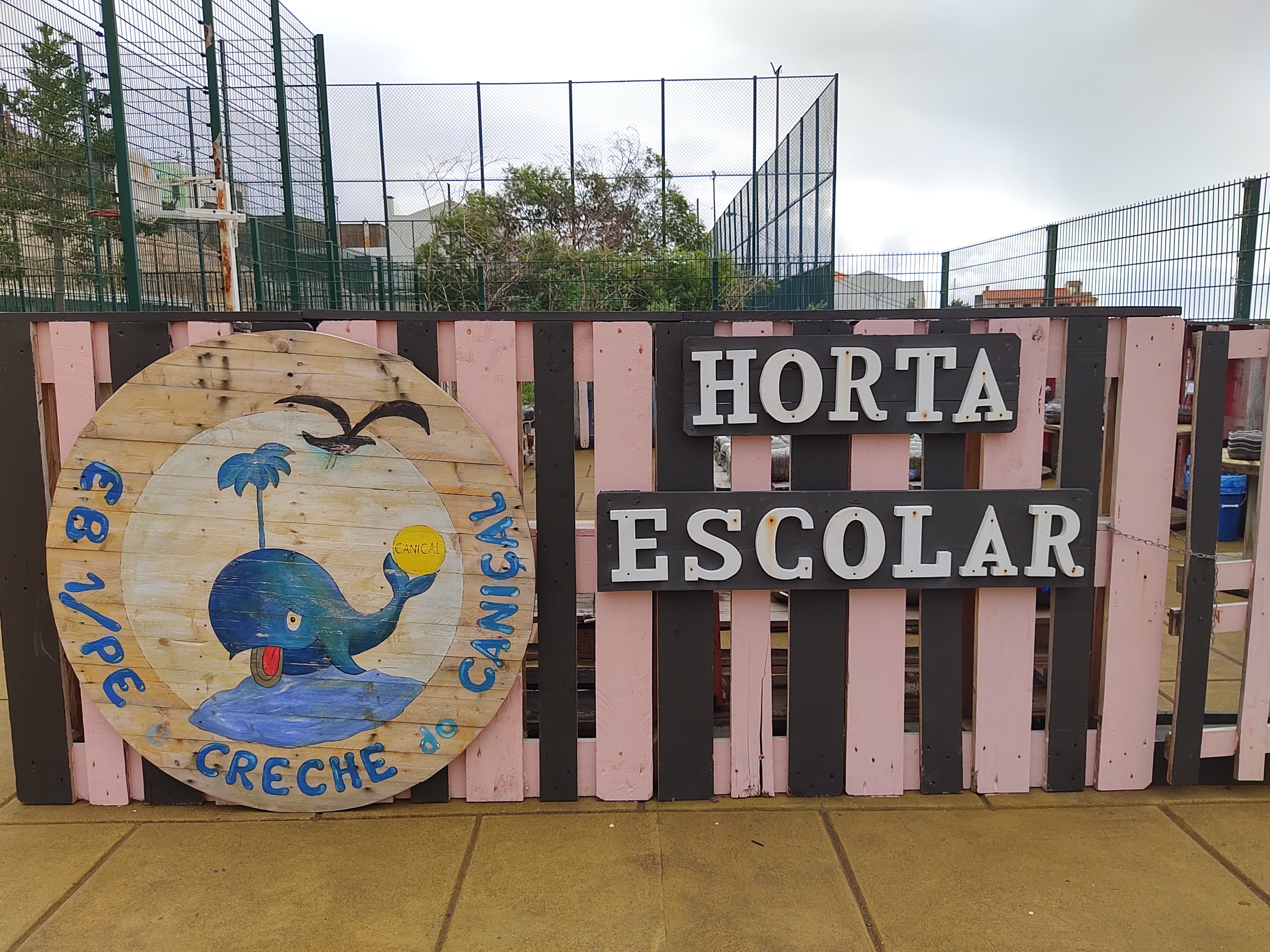 Inicio da nossa horta