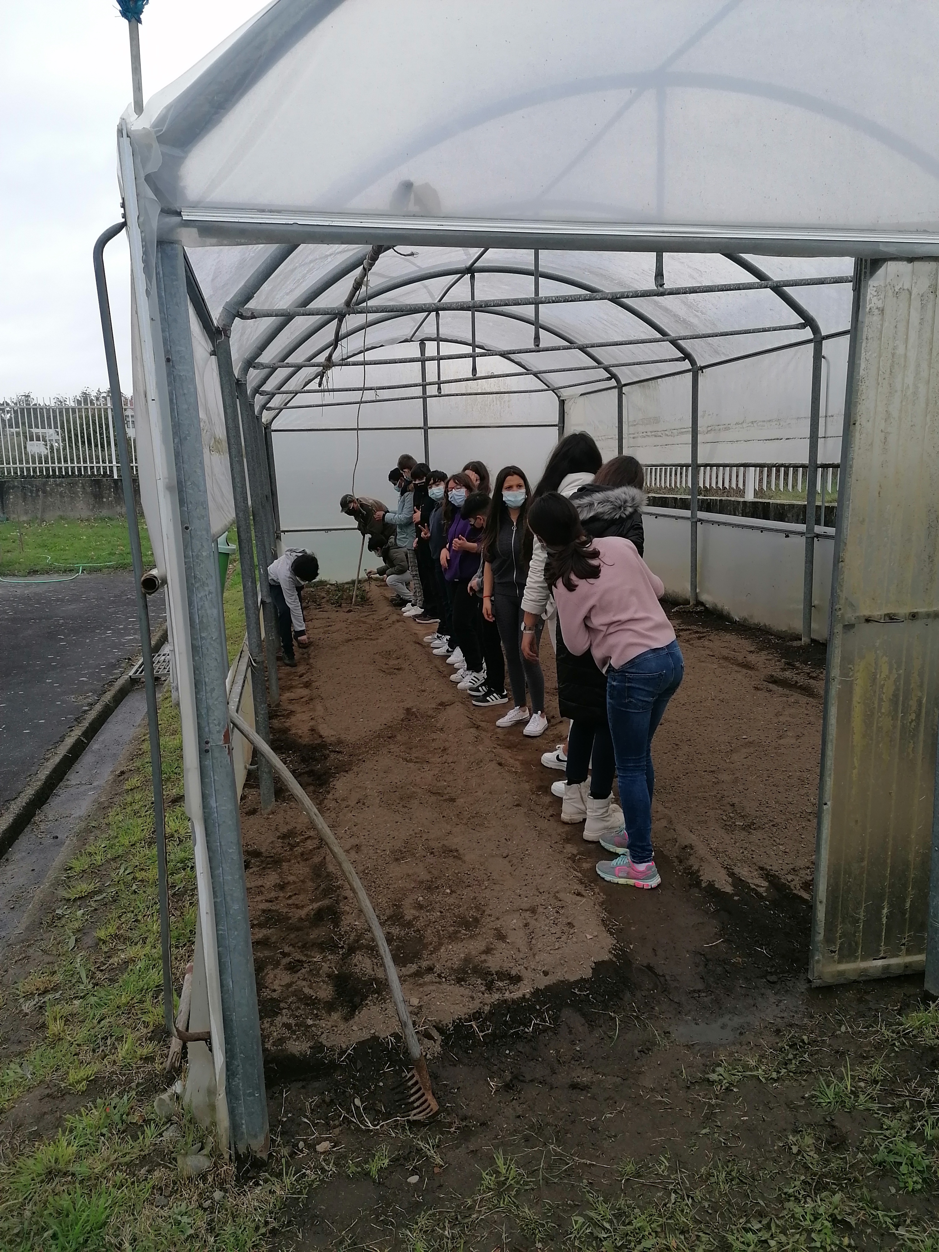 Preparando o terreno da horta biológica