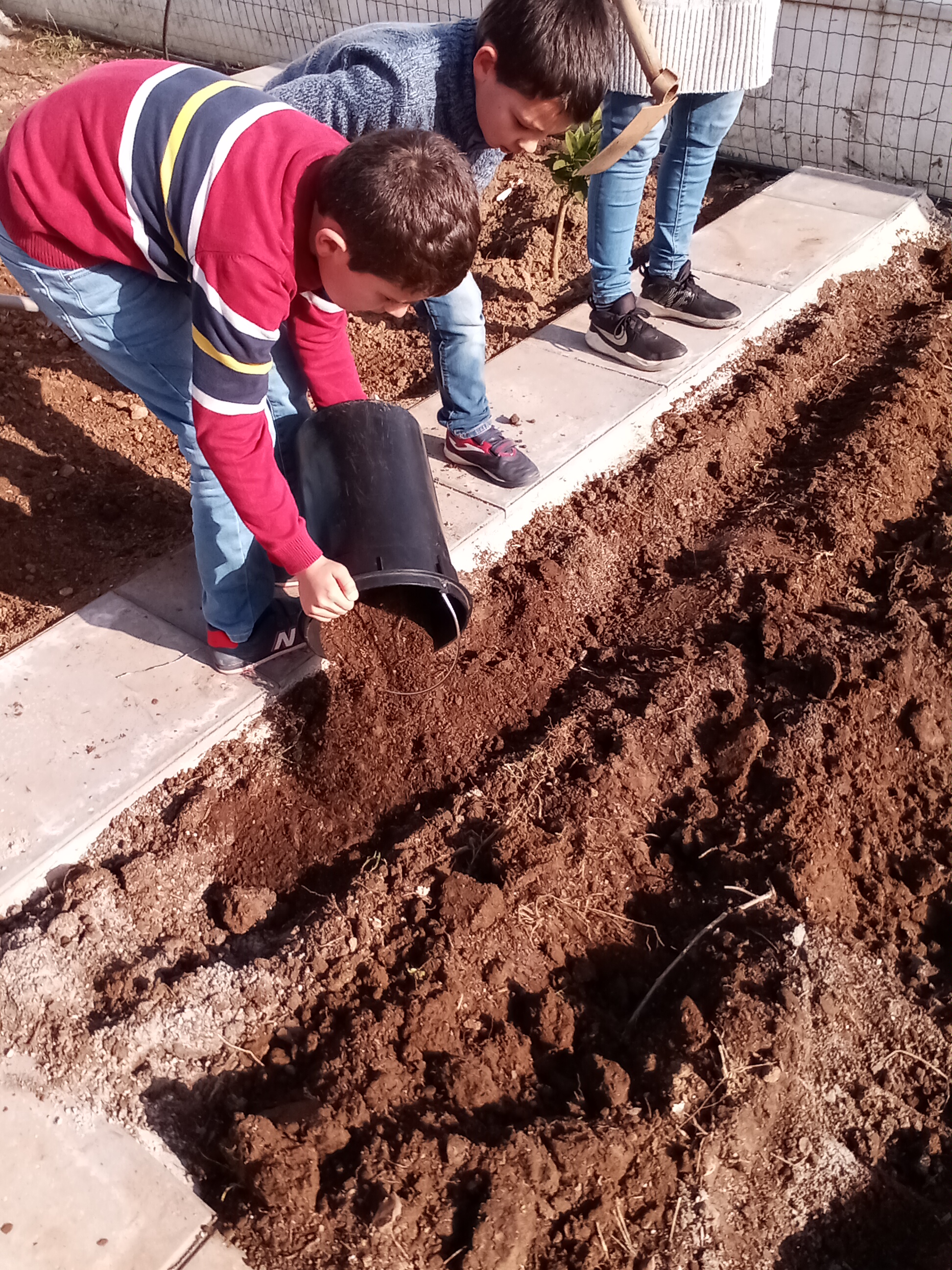 A preparar a terra, para plantar morangos!