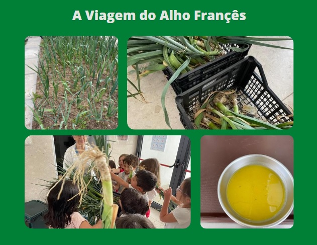 O alho francês, legume muito utilizado nas sopas da escola teve lugar de destaque várias vezes no nosso refeitório.
Os mais pequenos ficaram muito satisfeitos por entregar à D. Noémia, a cozinheira, o produto final da sua horta.
