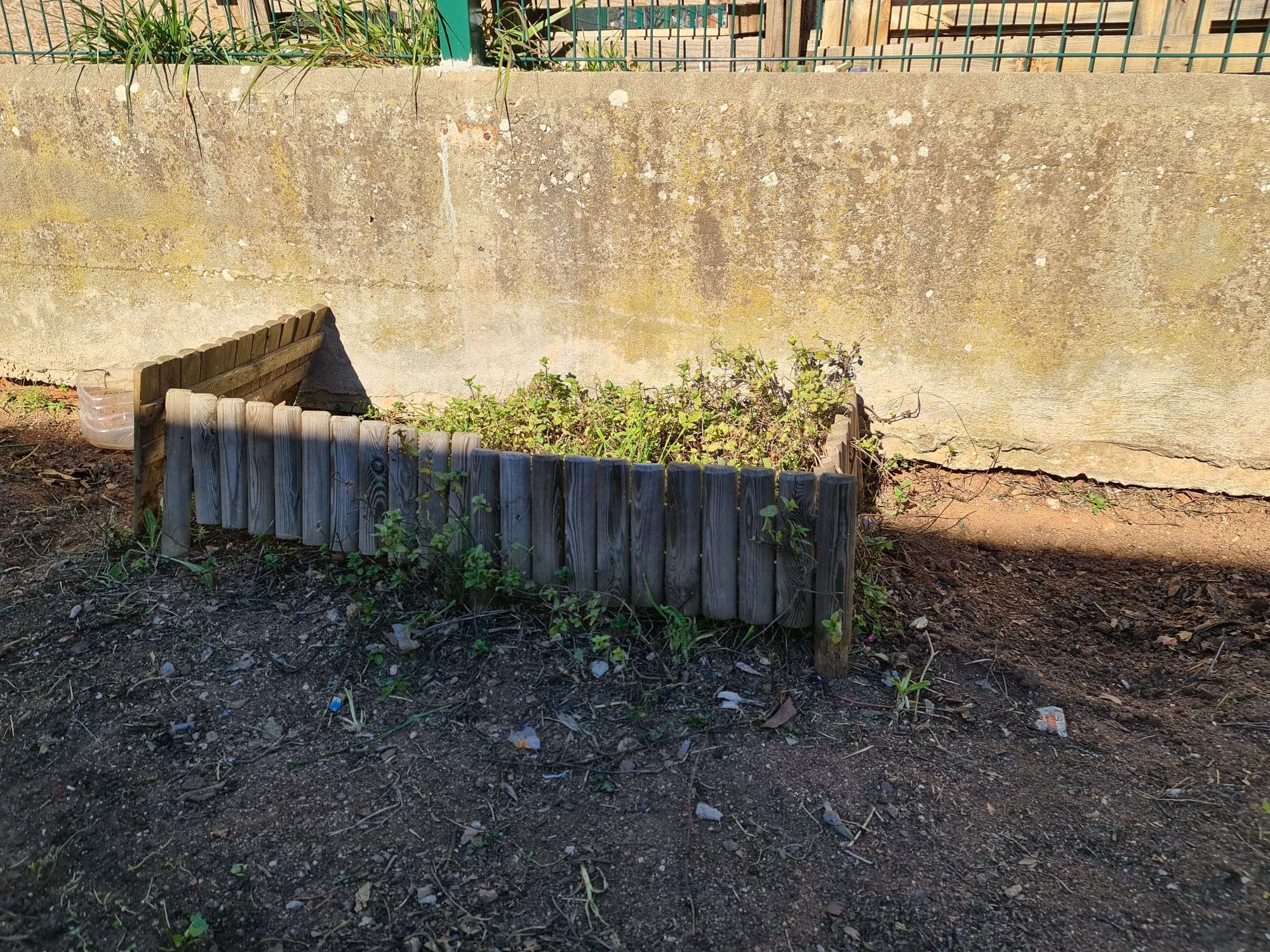 Limpeza da zona da hortelã.