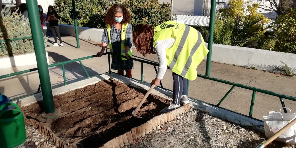 A foto 3 representa a sementeira de favas pelos alunos do Clube do Ambiente no dia 10 de novembro. As sementes foram dadas por uma auxiliar educativa.