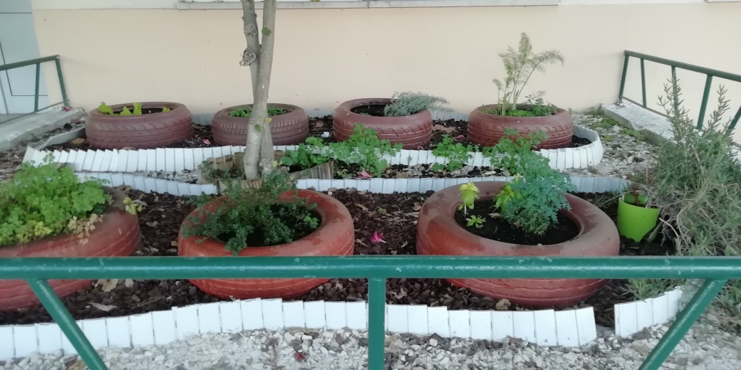 A foto mostra os seis canteiros com diversas aromáticas, que são utilizadas na cantina e bar dos alunos na escola.