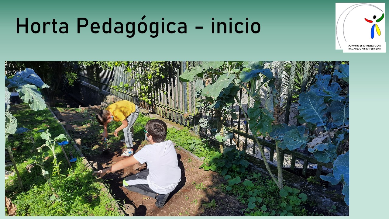 Limpeza do solo;