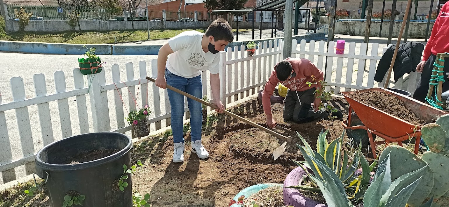 Construção do canteiro circular para tomates e pimentos.