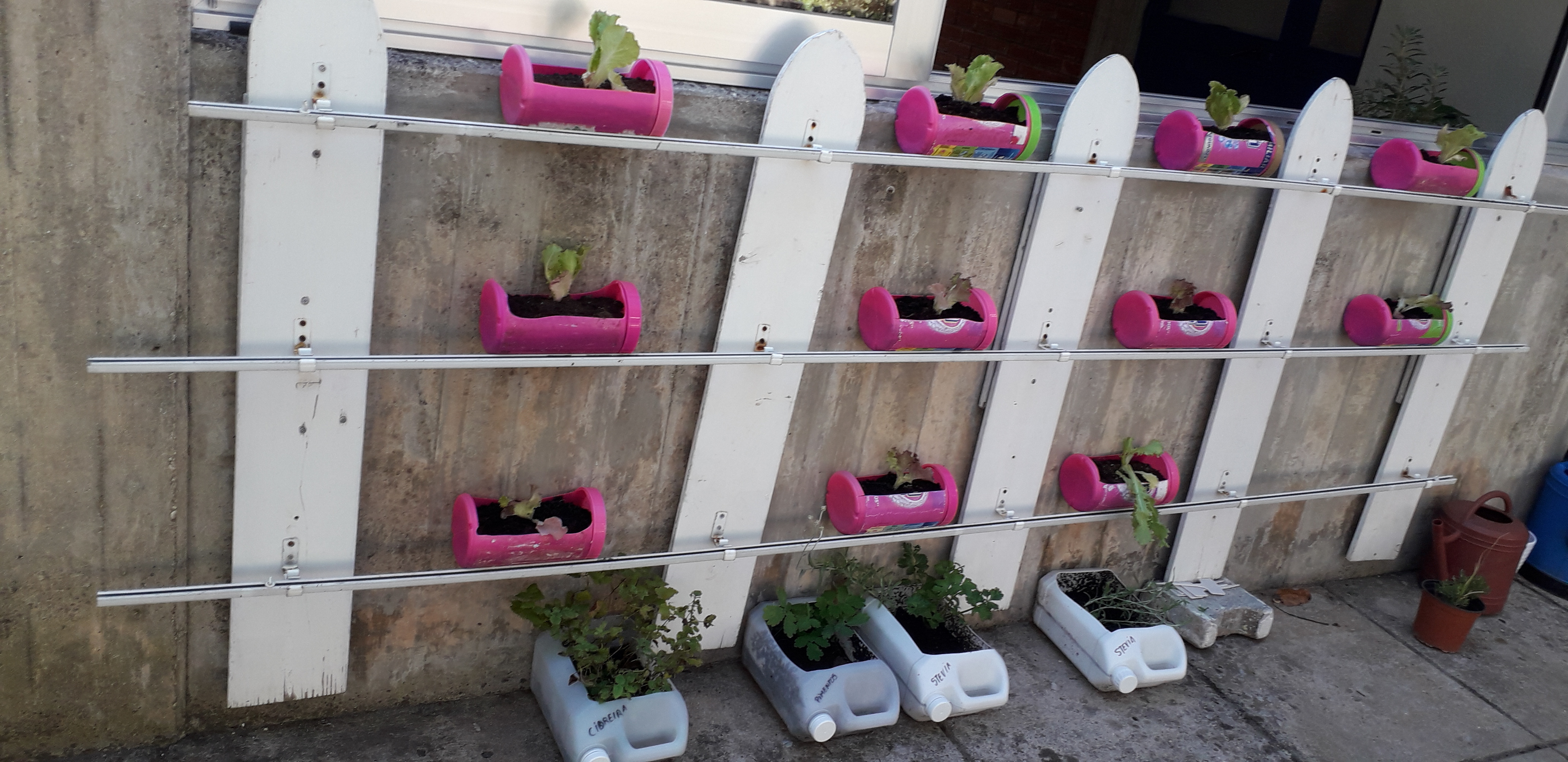 horta vertical