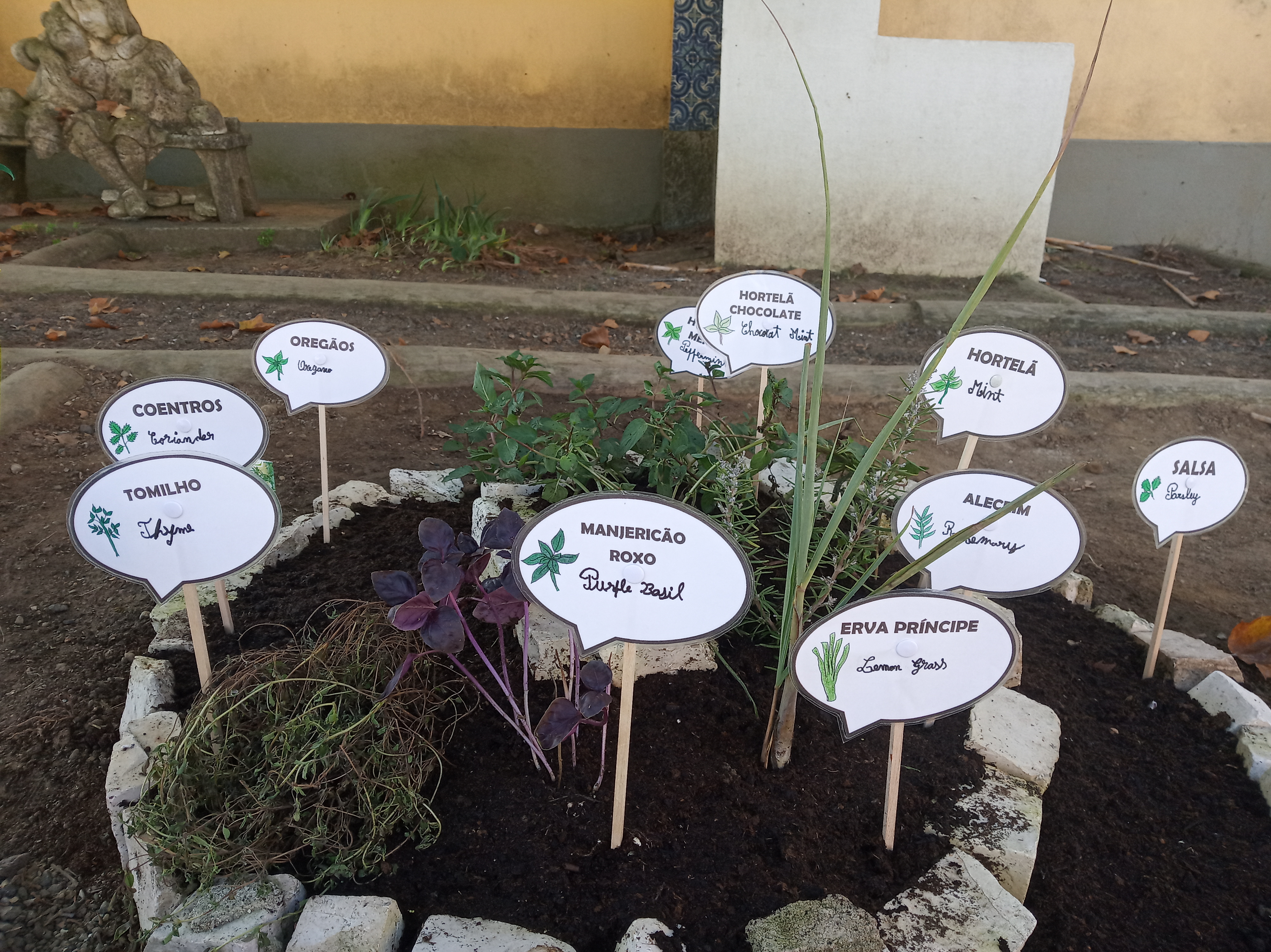 A espiral de aromáticas, tem uma variedade enorme de plantas.