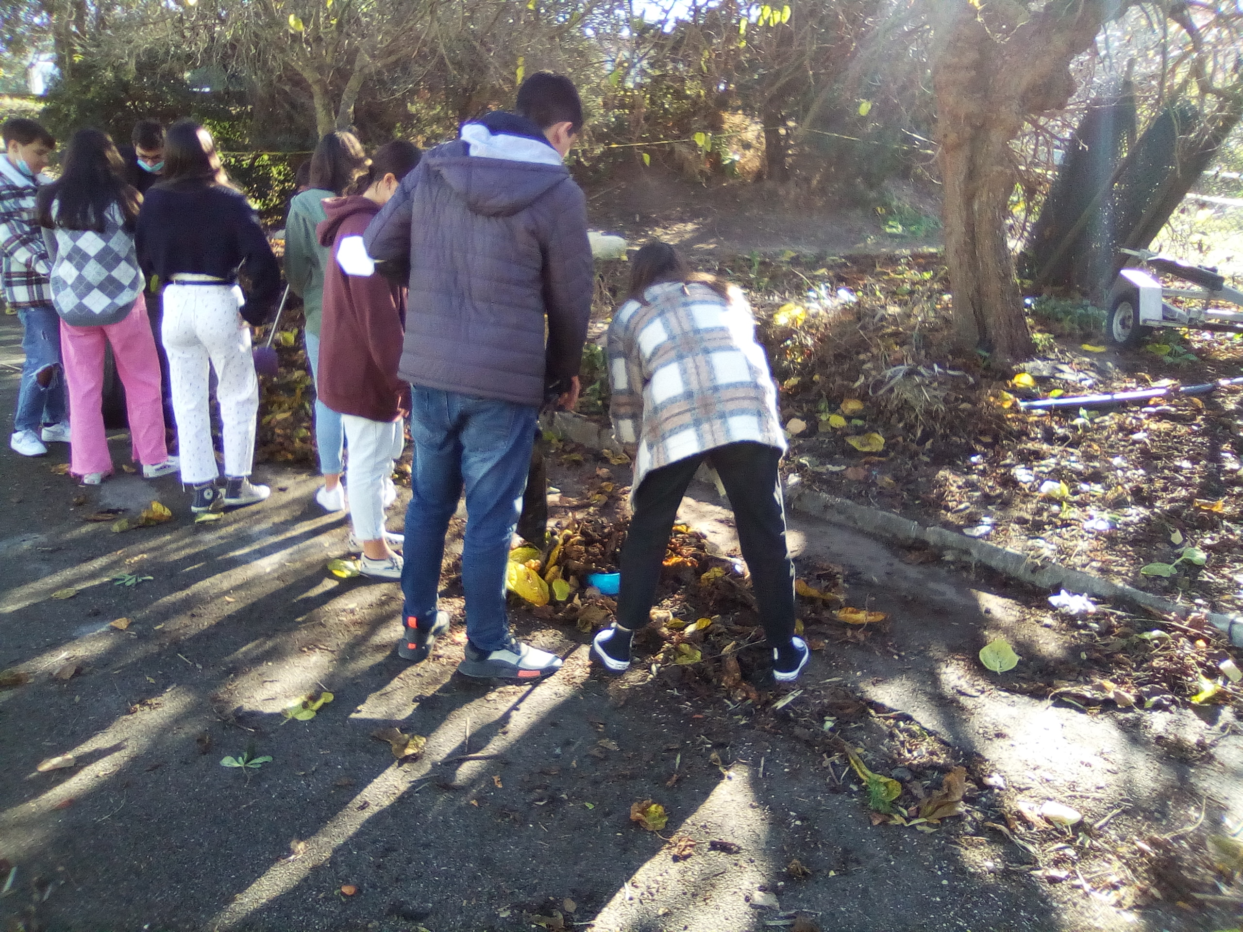 Recolha de resíduos vegetais do espaço escolar para compostagem.