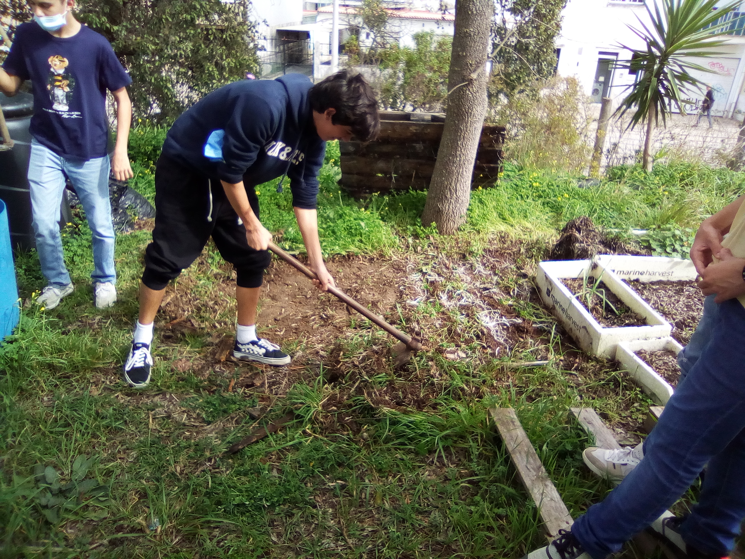 Limpeza do terreno para a construção da biohorta.