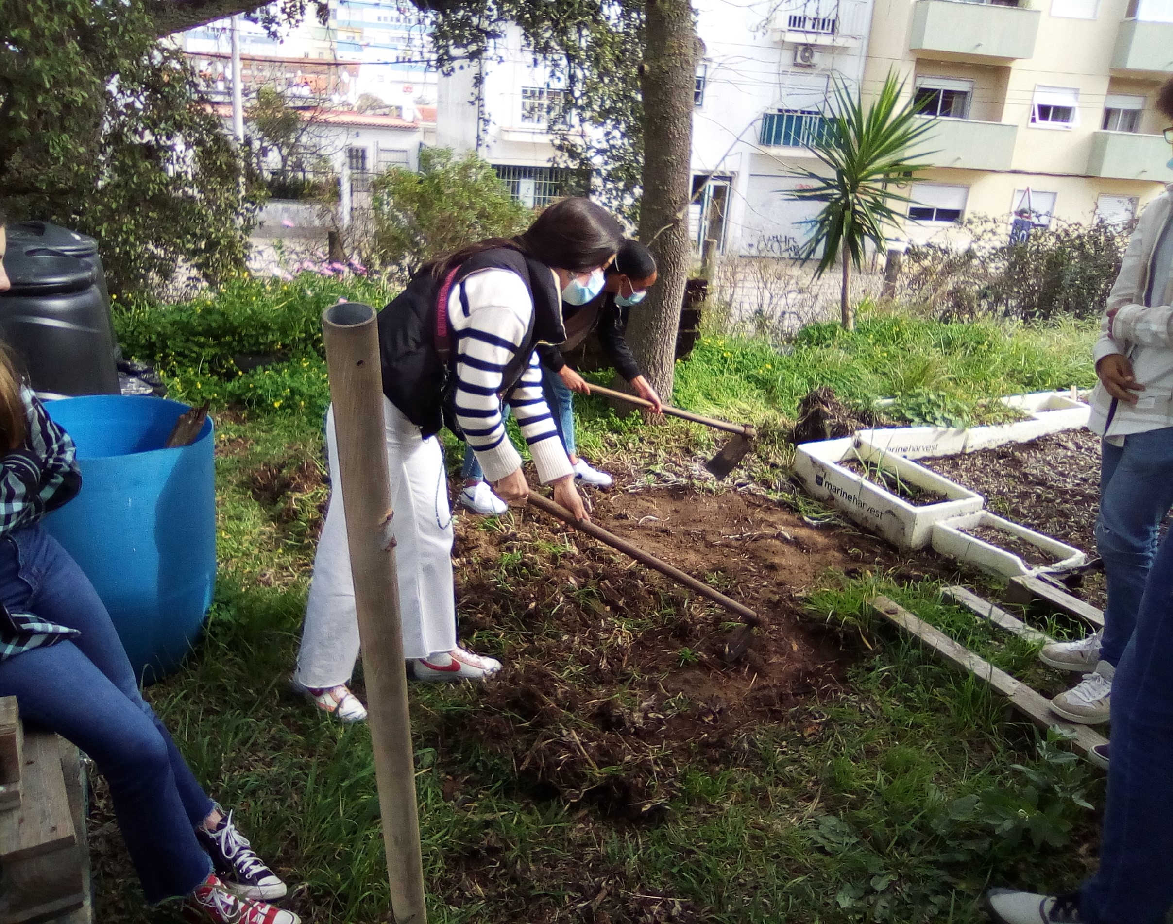 Limpeza do terreno para a construção da biohorta.