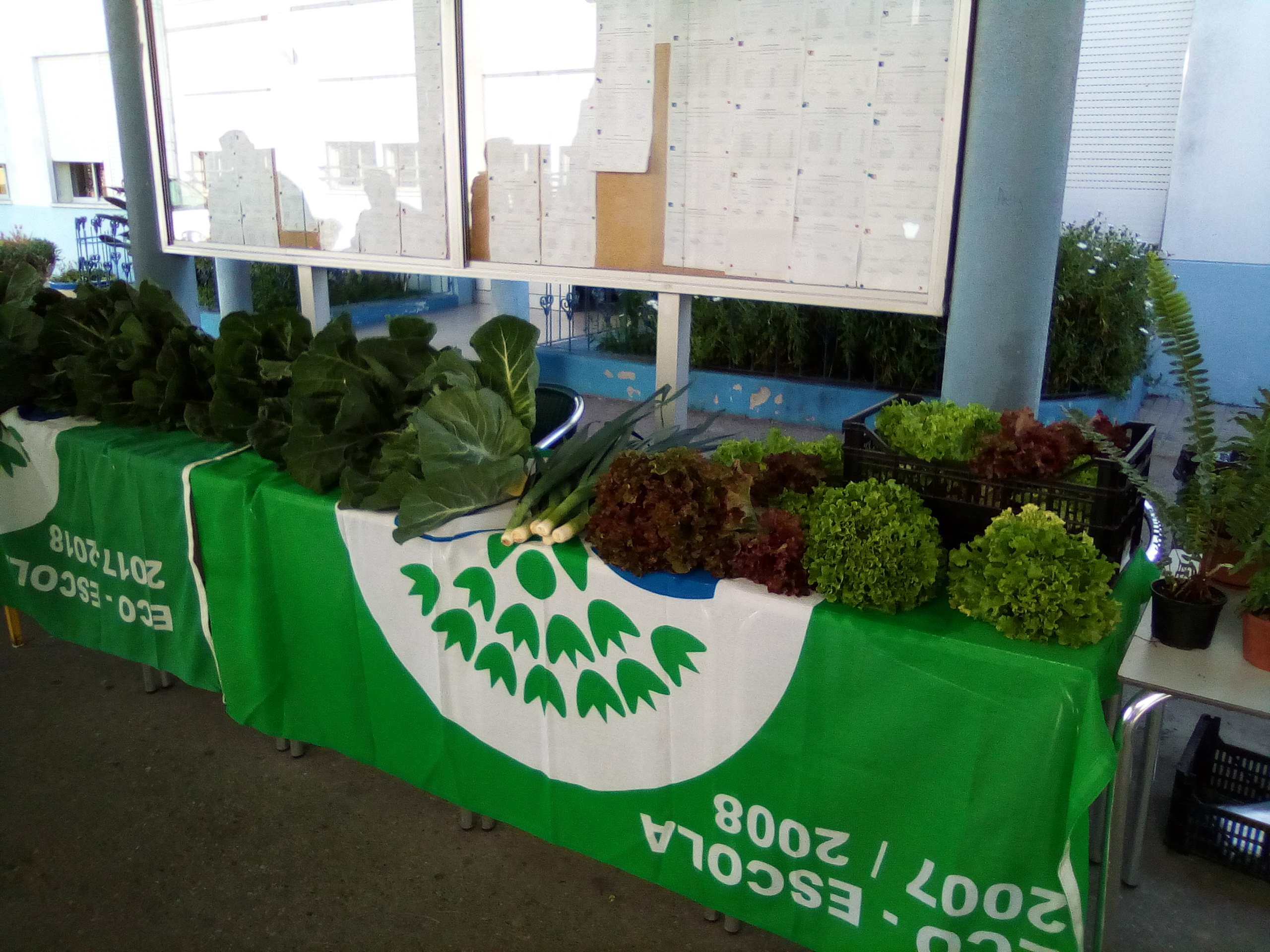No dia 5 de maio ocorreu uma pequena feira biológica no átrio da escola para venda dos produtos produzidos na bio-horta.