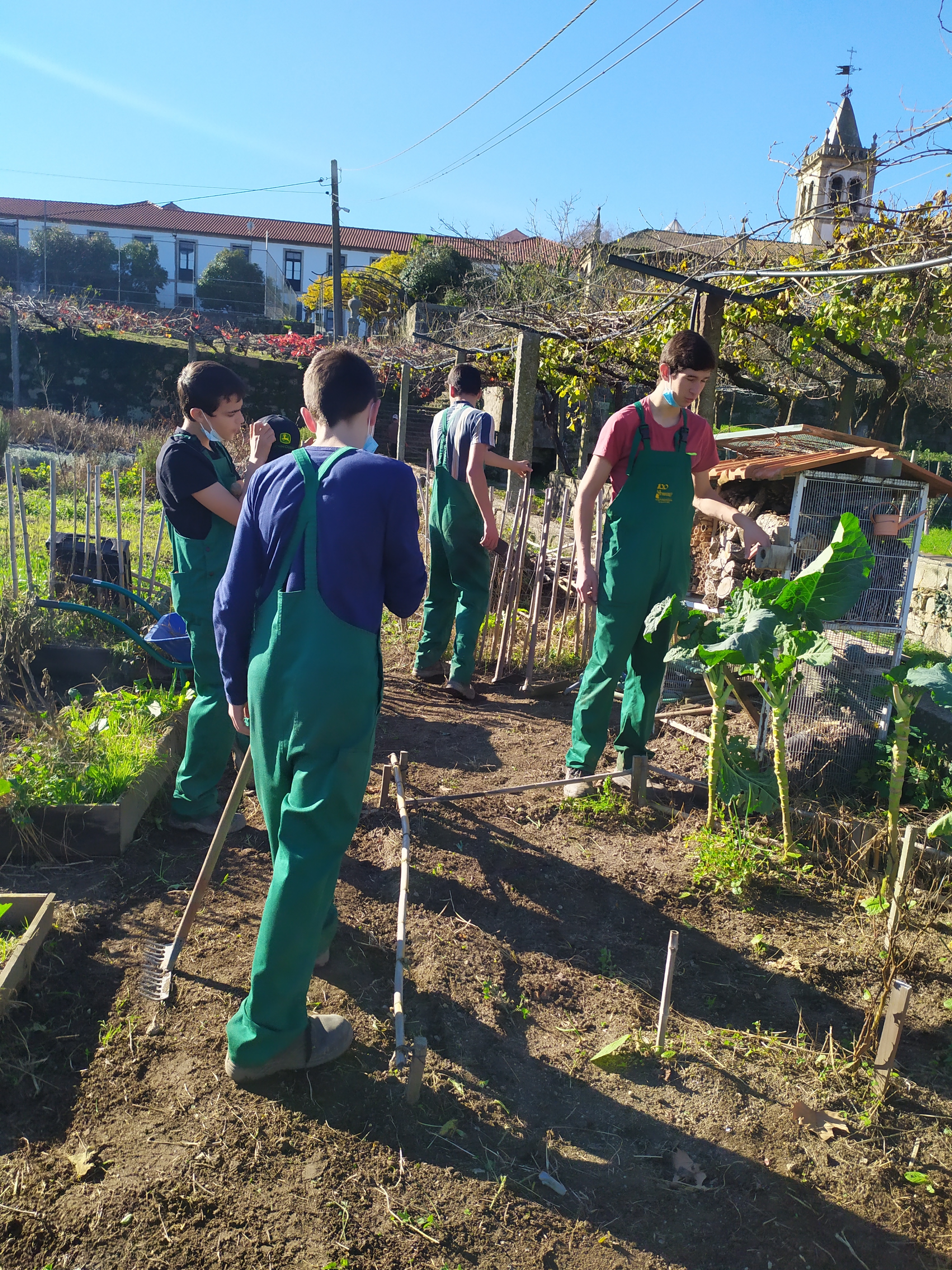 Manutenção da horta